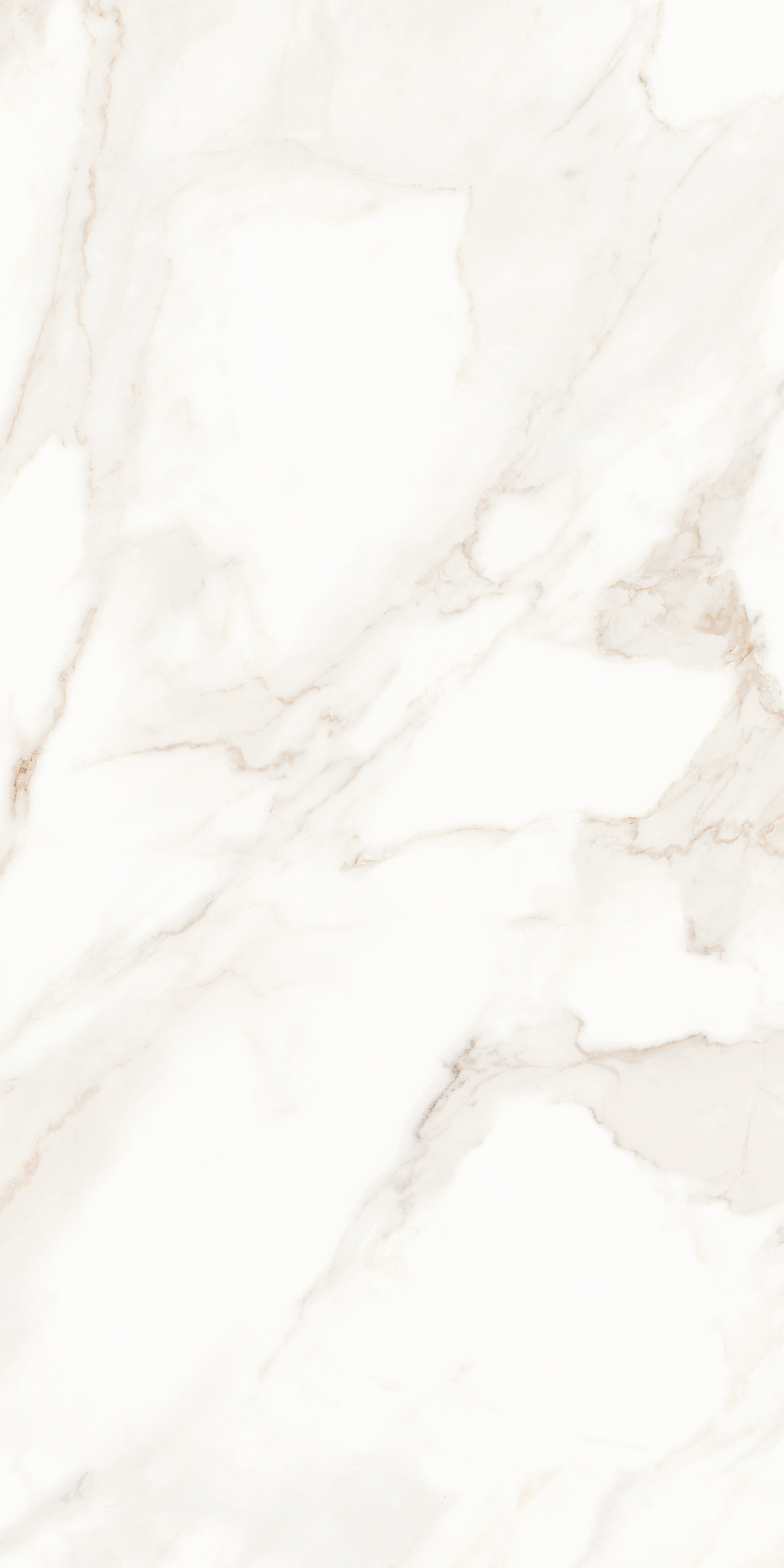 MPL-058623 На пол Calacatta Calacatta Polished 60x120