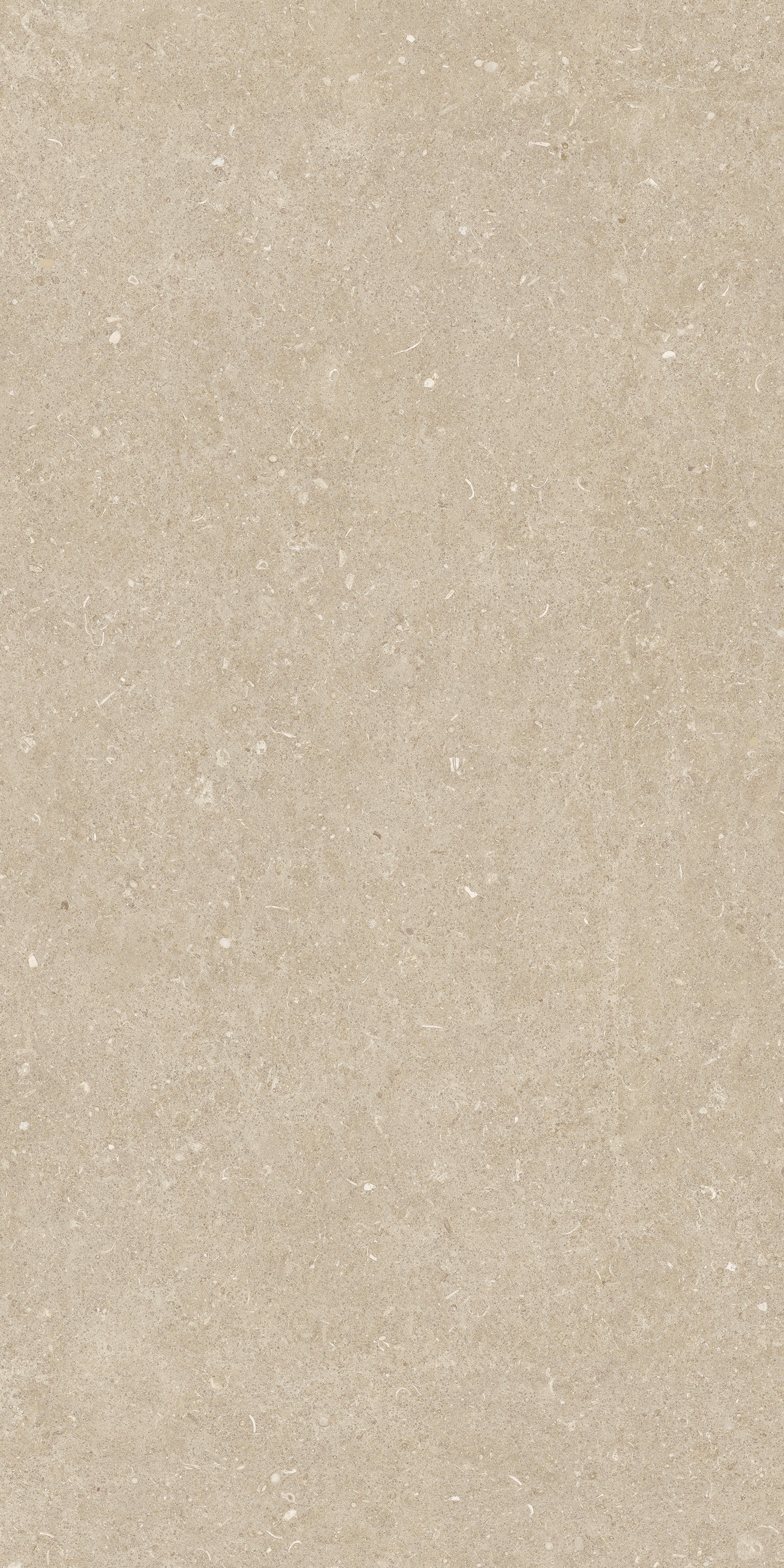 785481 На пол Rinascenza Arena Conchiglia Matte 60x120 - фото 4