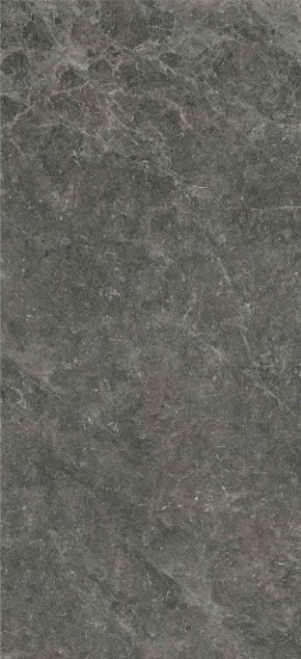 MN311CP261206 На пол Florentines Ash Polished 6mm 120x260 - фото 2