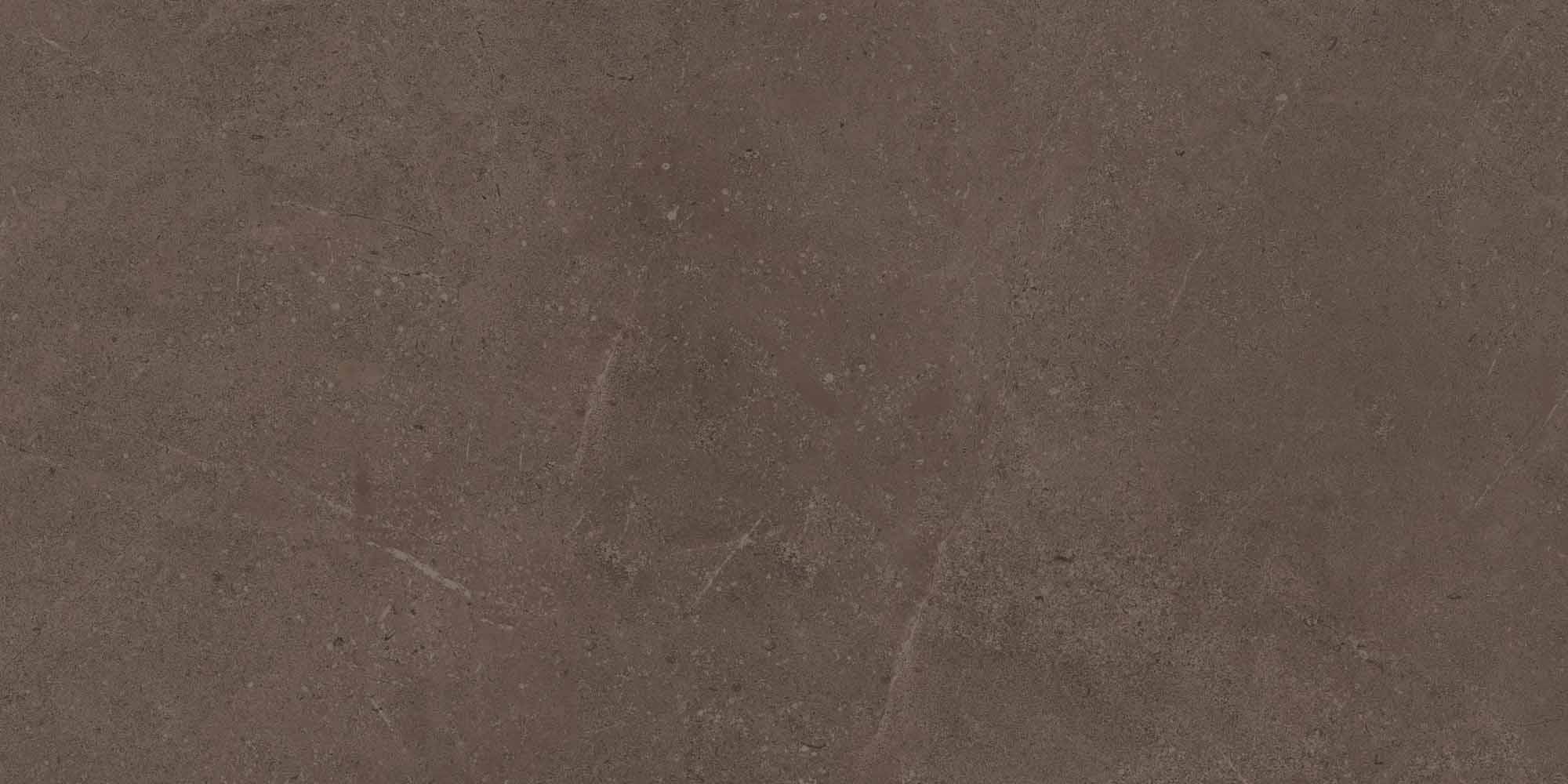 GO03/NS_R9/60x120x9R/GC На пол Gobi GO03 Brown Grey Неполированный Рект. 60x120x9 - фото 3