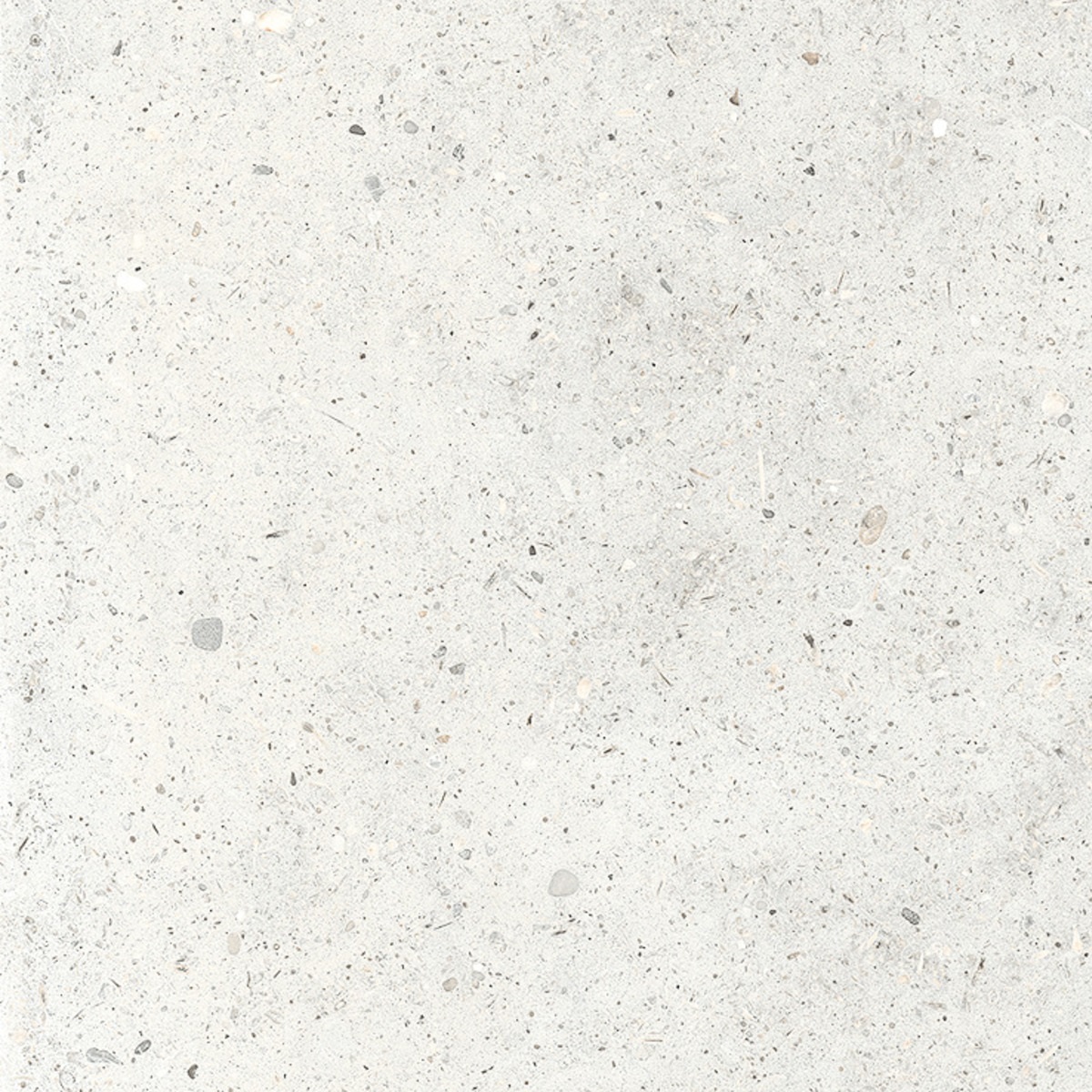 866729 На пол Whole Stone White Sq 60x60