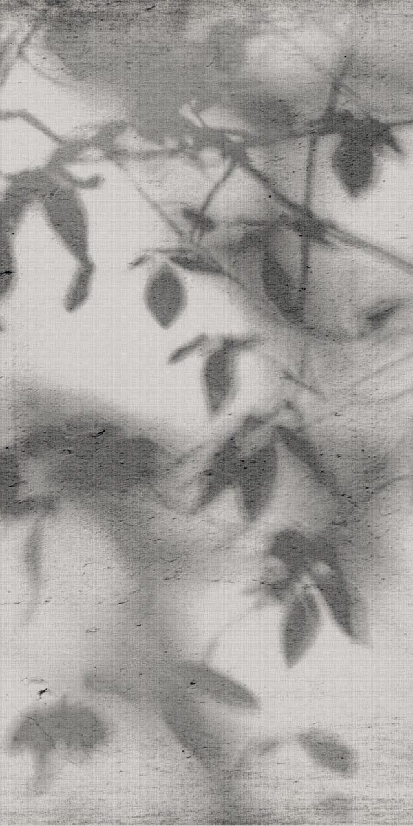 PF60012582 На стену Art Walls Shadow Nat R 60x120 - фото 2