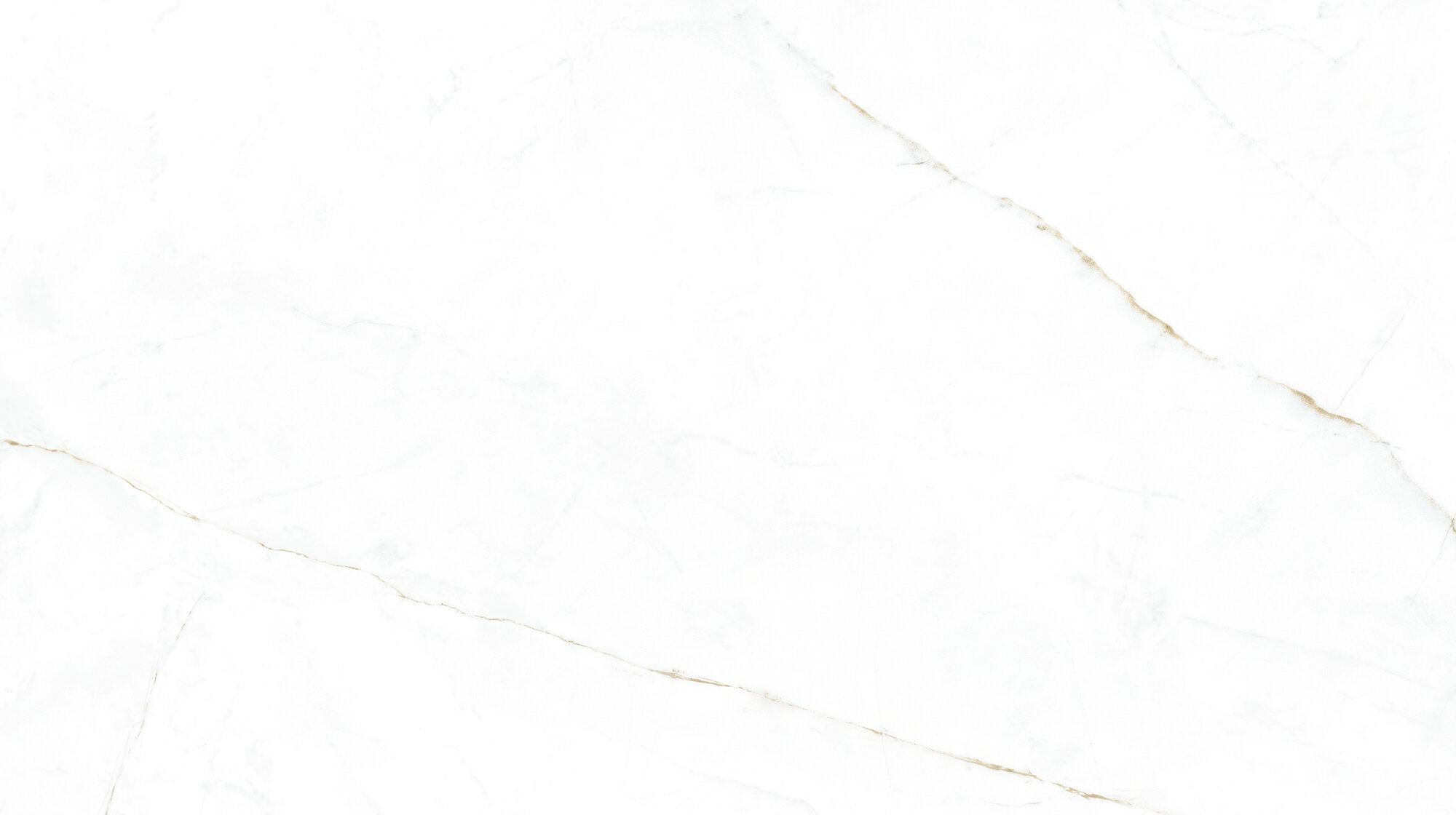 31744 На пол Museum Dual White SP/R 100х180 - фото 9