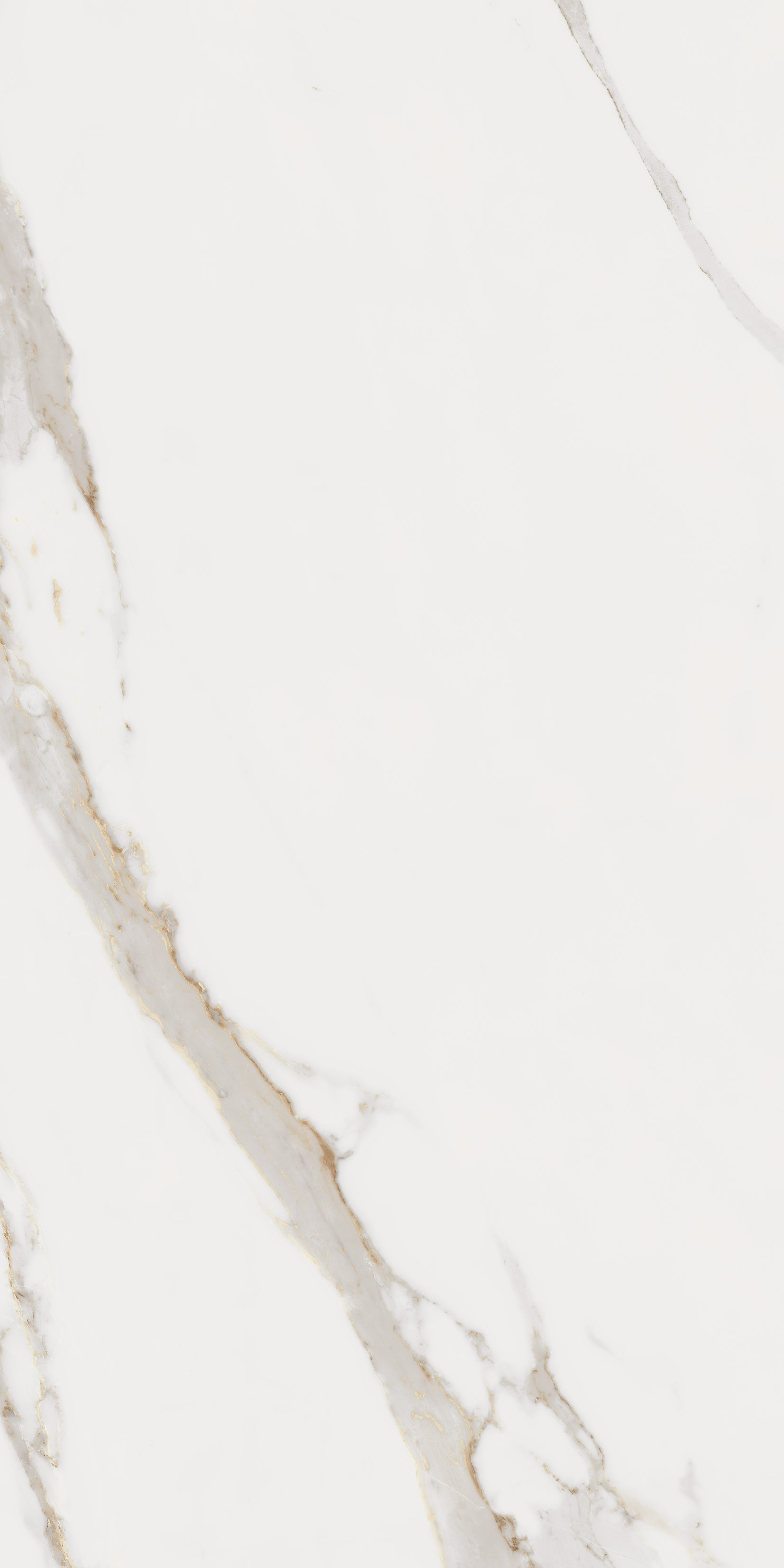 28A2 На пол Elements Lux Calacatta Gold Nat RT 60x120