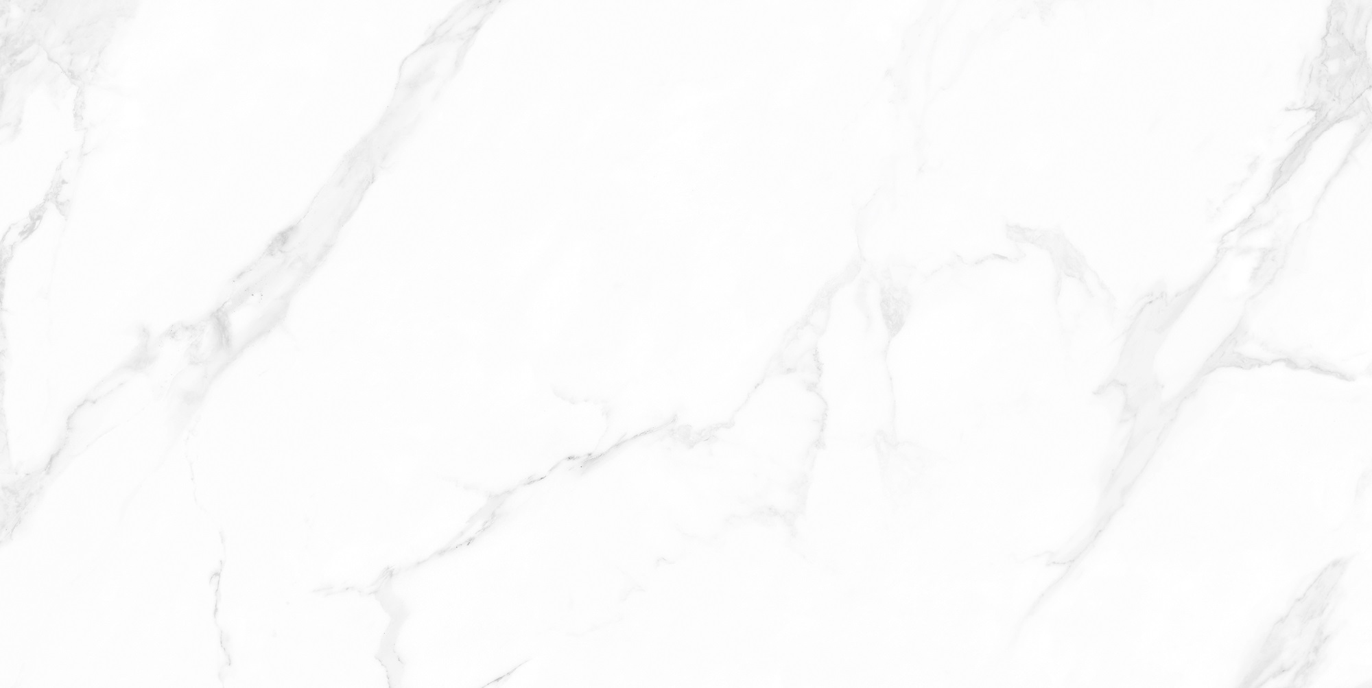 M4402P На пол Marble Carrara Anita Glossy 60x120 - фото 3