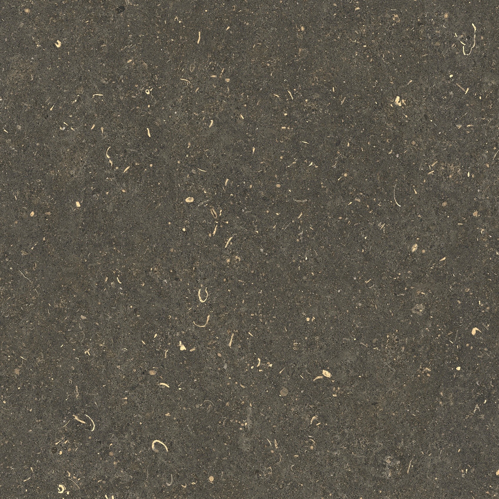 785499 На пол Rinascenza Arena Platino Grip 60x60 - фото 4