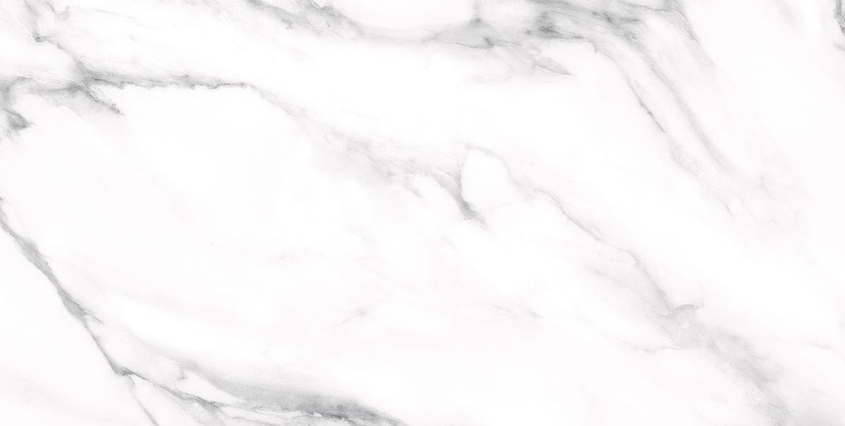 На пол Palacio  Majestic White Polished 60x120