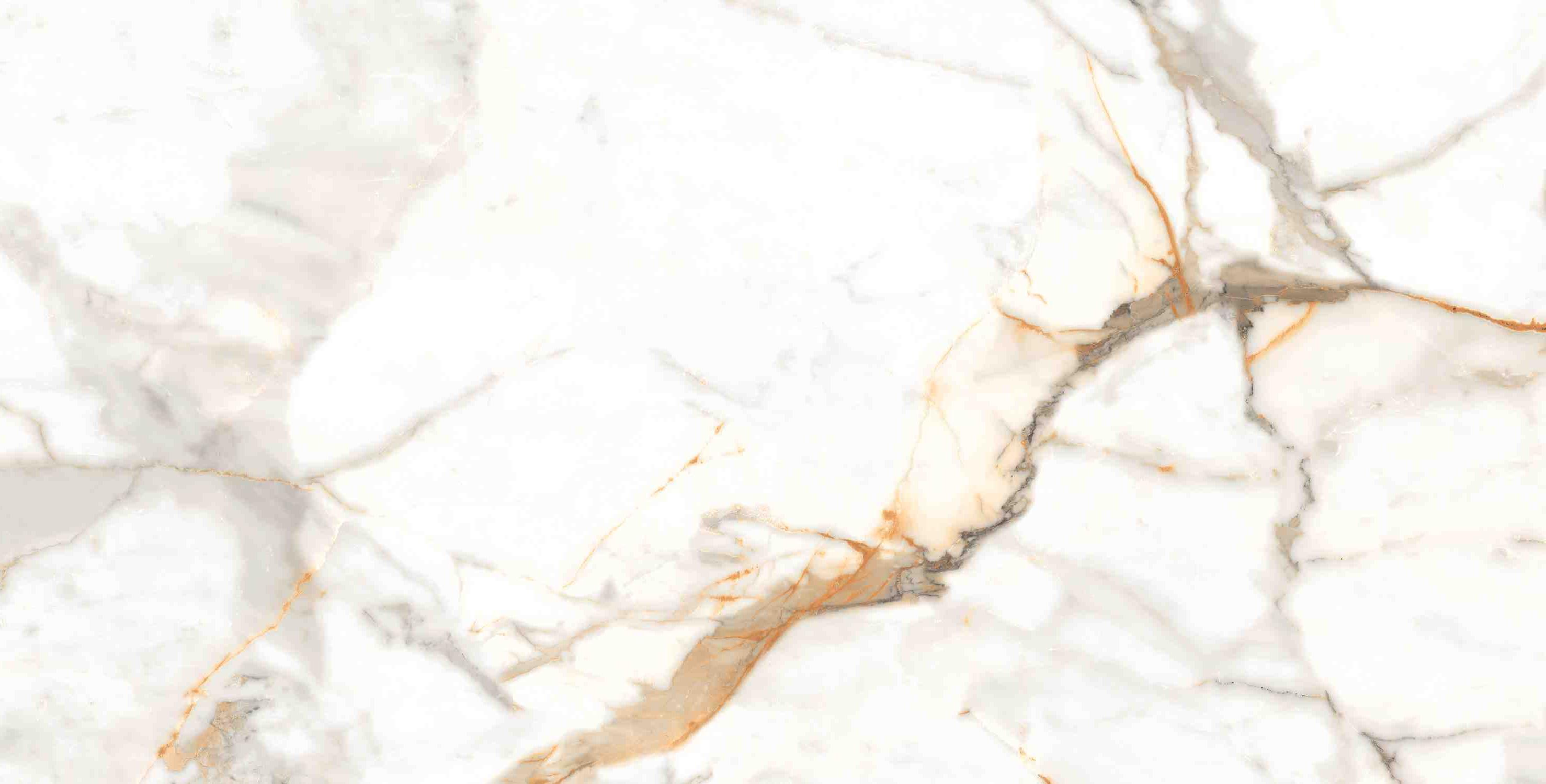 ENMAR7003MT60120 На пол Marble Calacatta Oro Matt 60x120 - фото 16