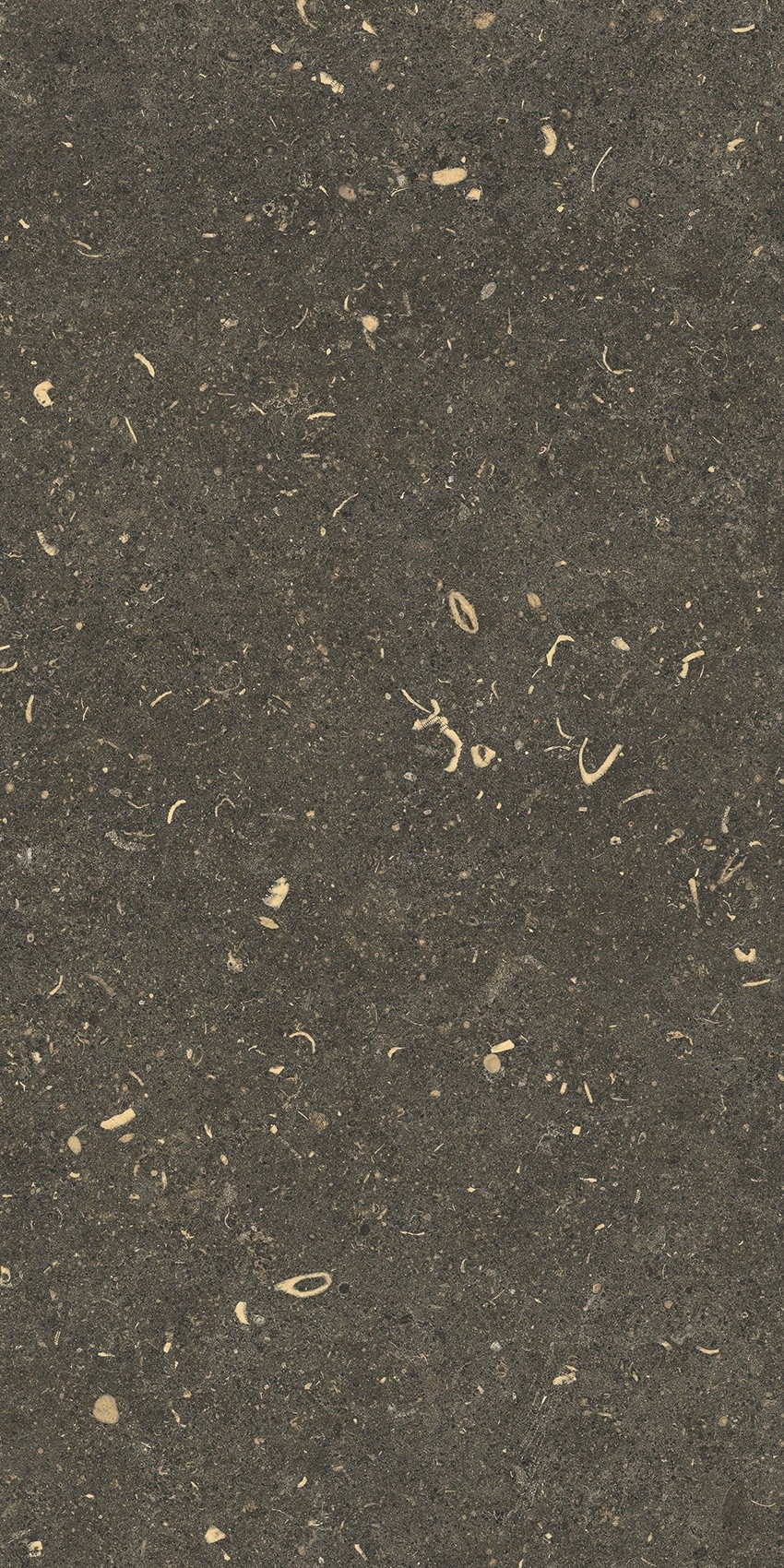 785491 На пол Rinascenza Arena Platino Matte 30x60 - фото 7