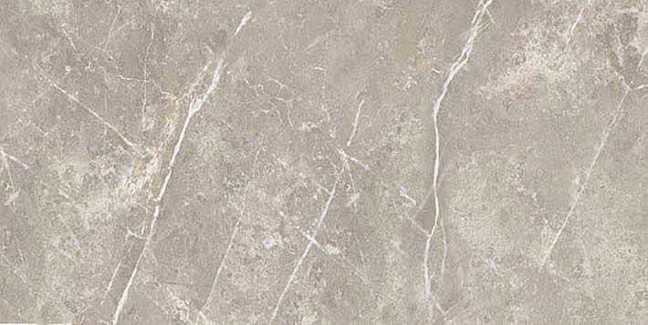 766617 На пол Elemental Stone Grey Dolomia Nat Ret 30x60