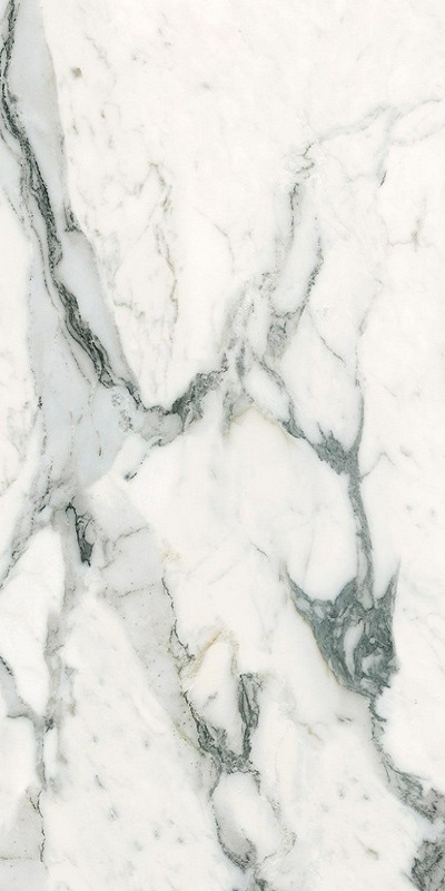 F918G10109 На пол Керамогранит 90x180 Silver Grey Glosst 90x180 - фото 5