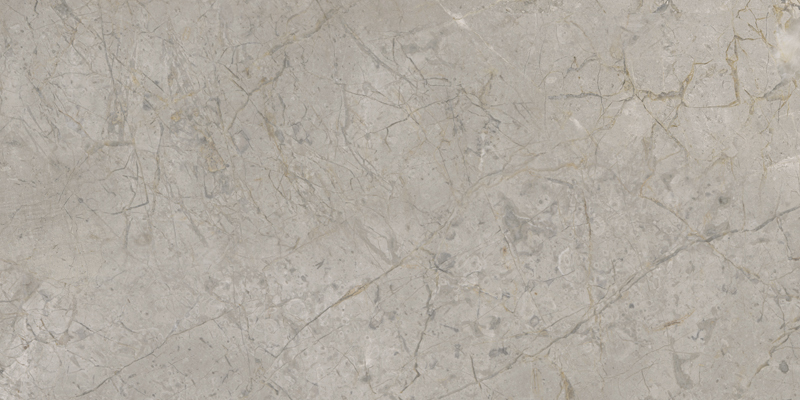 2A22 На пол Elements Lux Silver Grey Lap Rt 120x60 - фото 5