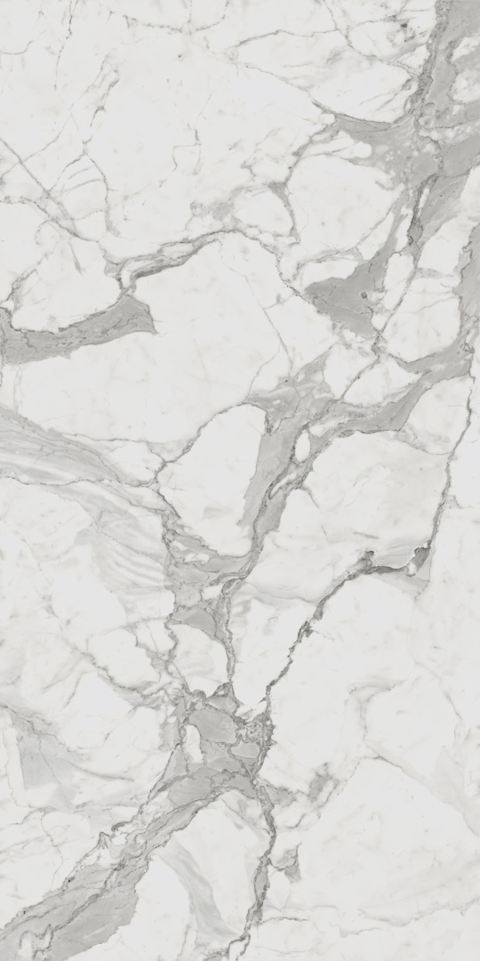 610015000402 На пол Charme Evo Floor Project Статуарио 60x120 Люкс и Реттифицированный - фото 2