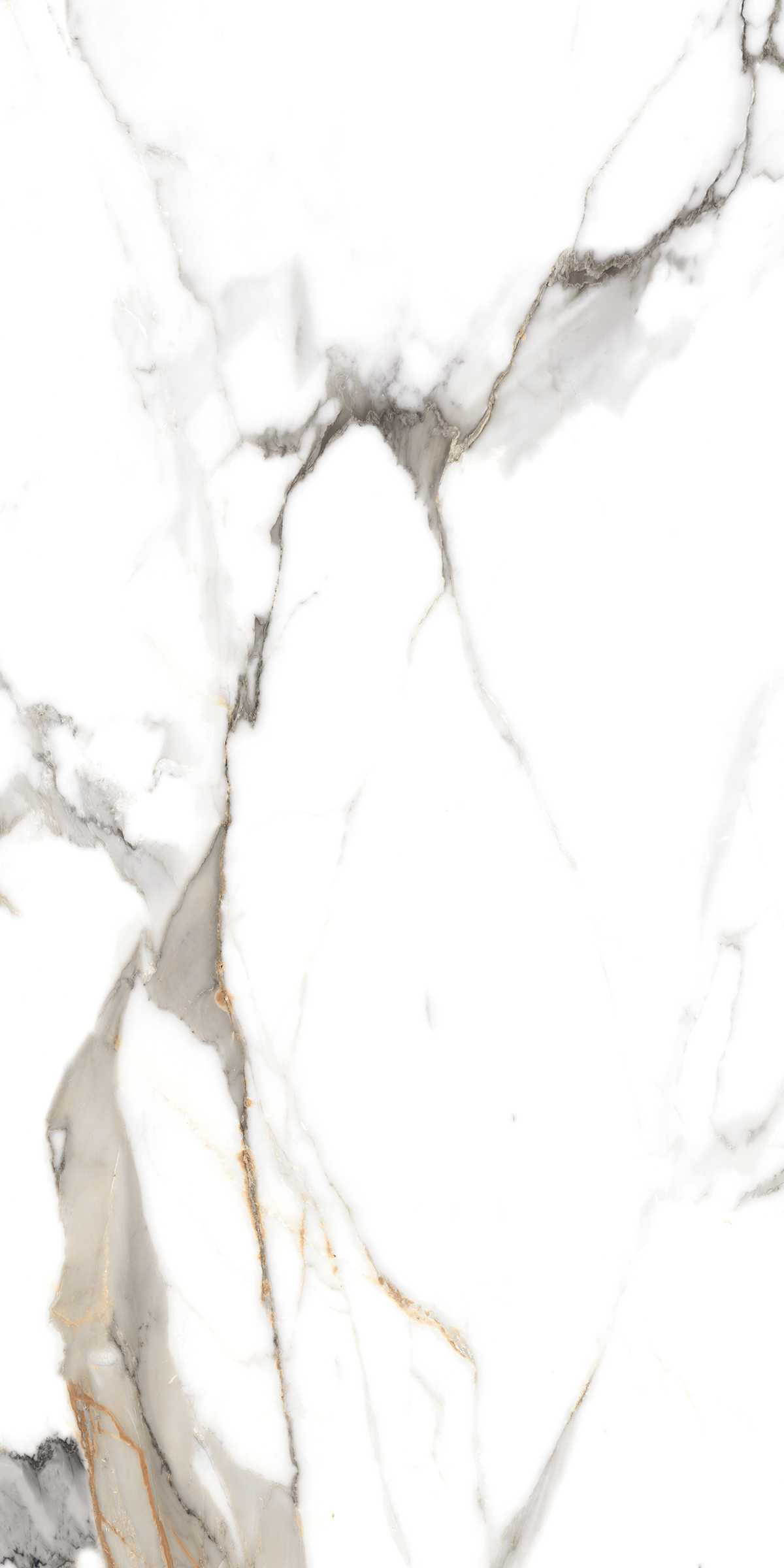 890  На пол Marble 5.5mm Classic Carrara 120x60