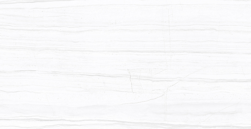 F2070821120G На пол Salent Grey Glossy 60x120