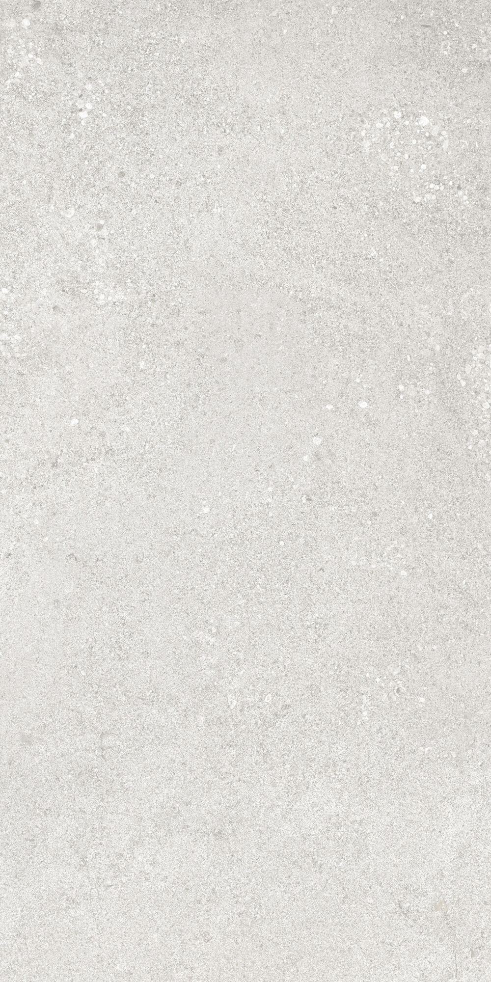 36904 На пол Cluny Silver 4D/50X100X2/A/R 50x100 - фото 6