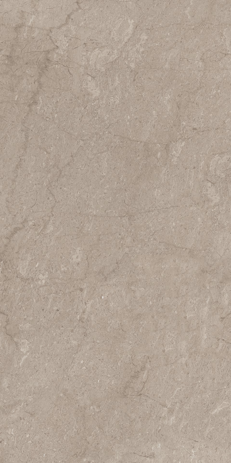 AEM02/NS_R9/60x120x9R/GW На пол Элемента Серый Неполированный Рект 60x120x9 - фото 3