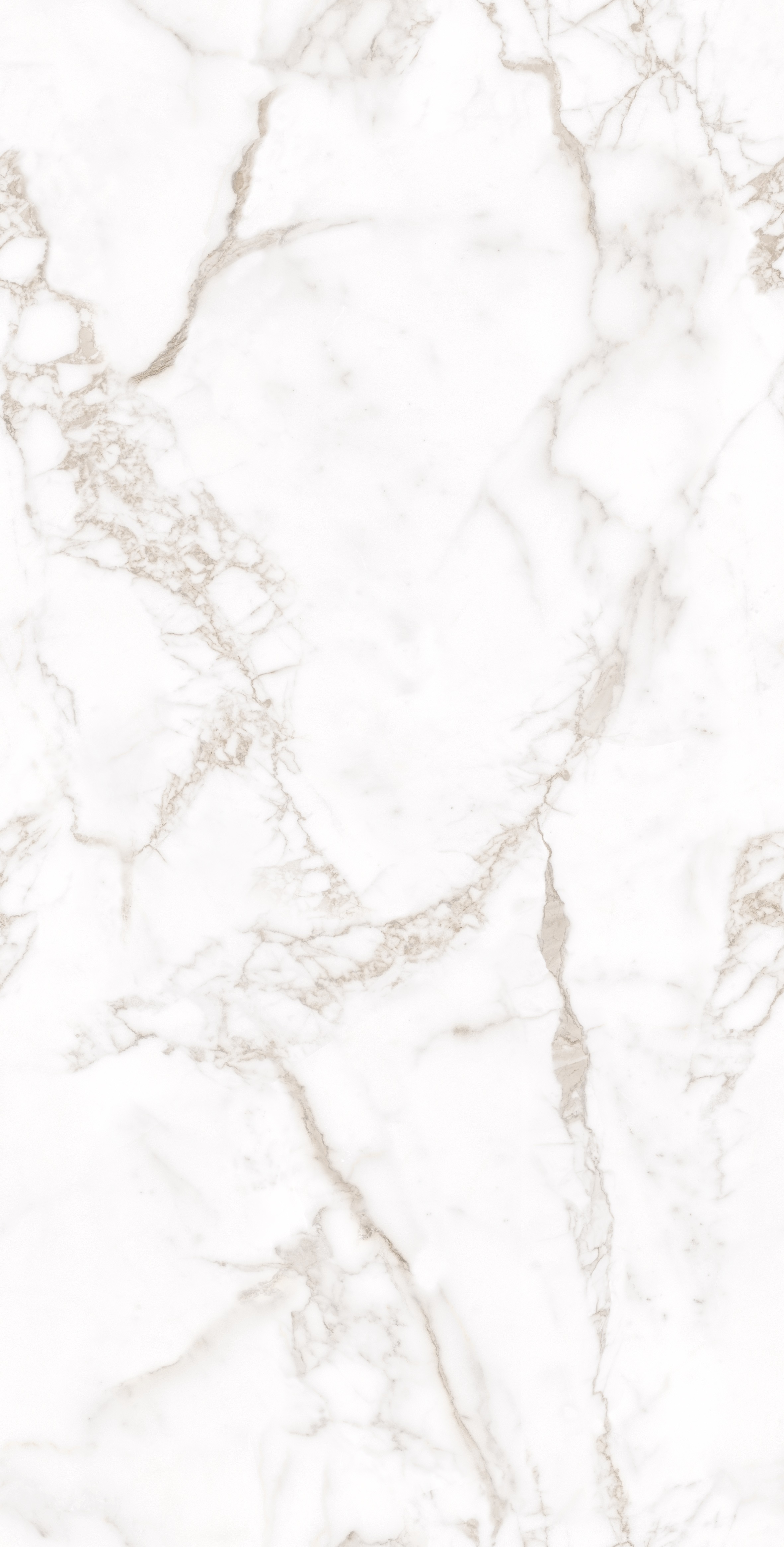На пол Calacatta Arabesque Carving 60х120