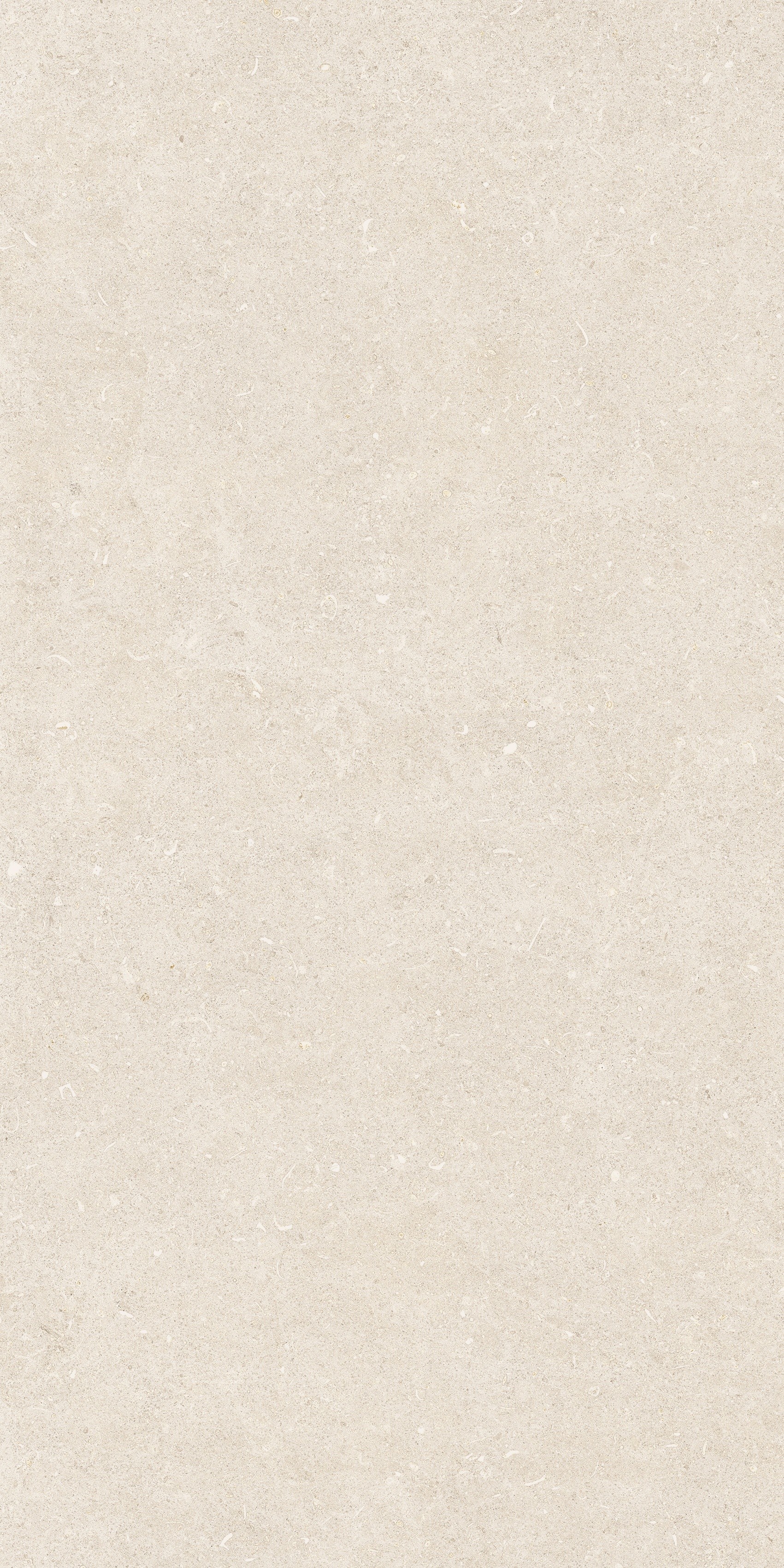 785492 На пол Rinascenza Arena Bianco Antico Grip 60x120 - фото 3