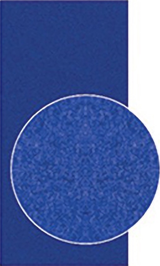 80137 На пол Olympic Series Cobalt Antislip 12x24.5