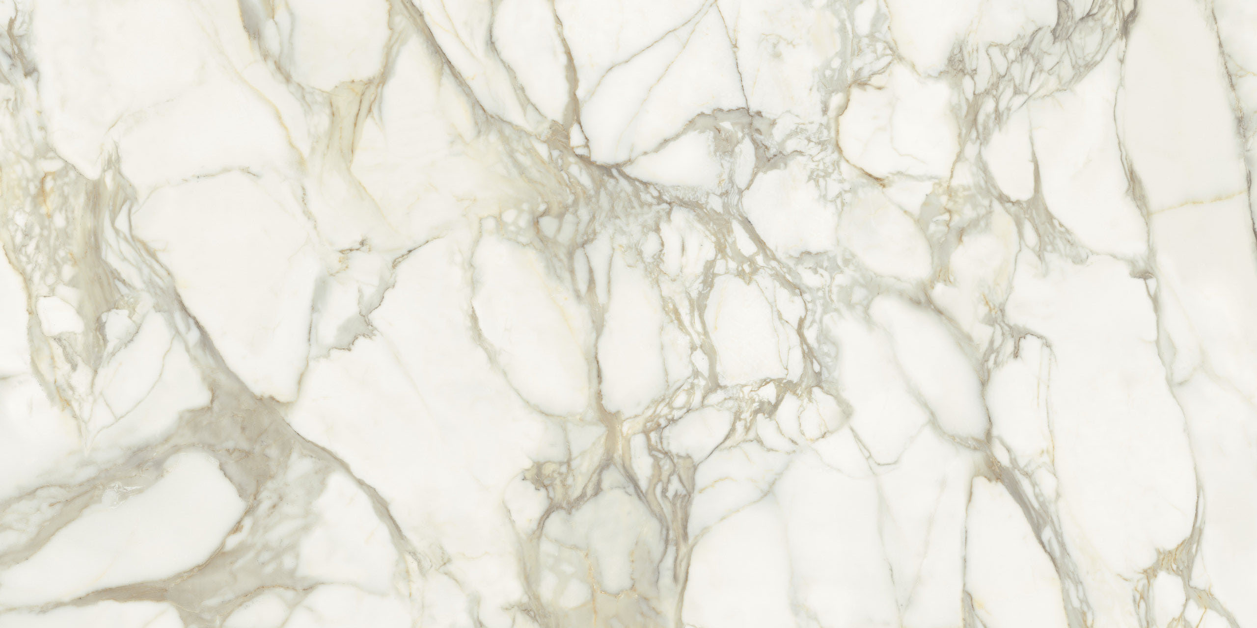 MML25961530 На пол Maximum Marmi Calacatta Dorato Lucidato 300х150 - фото 2