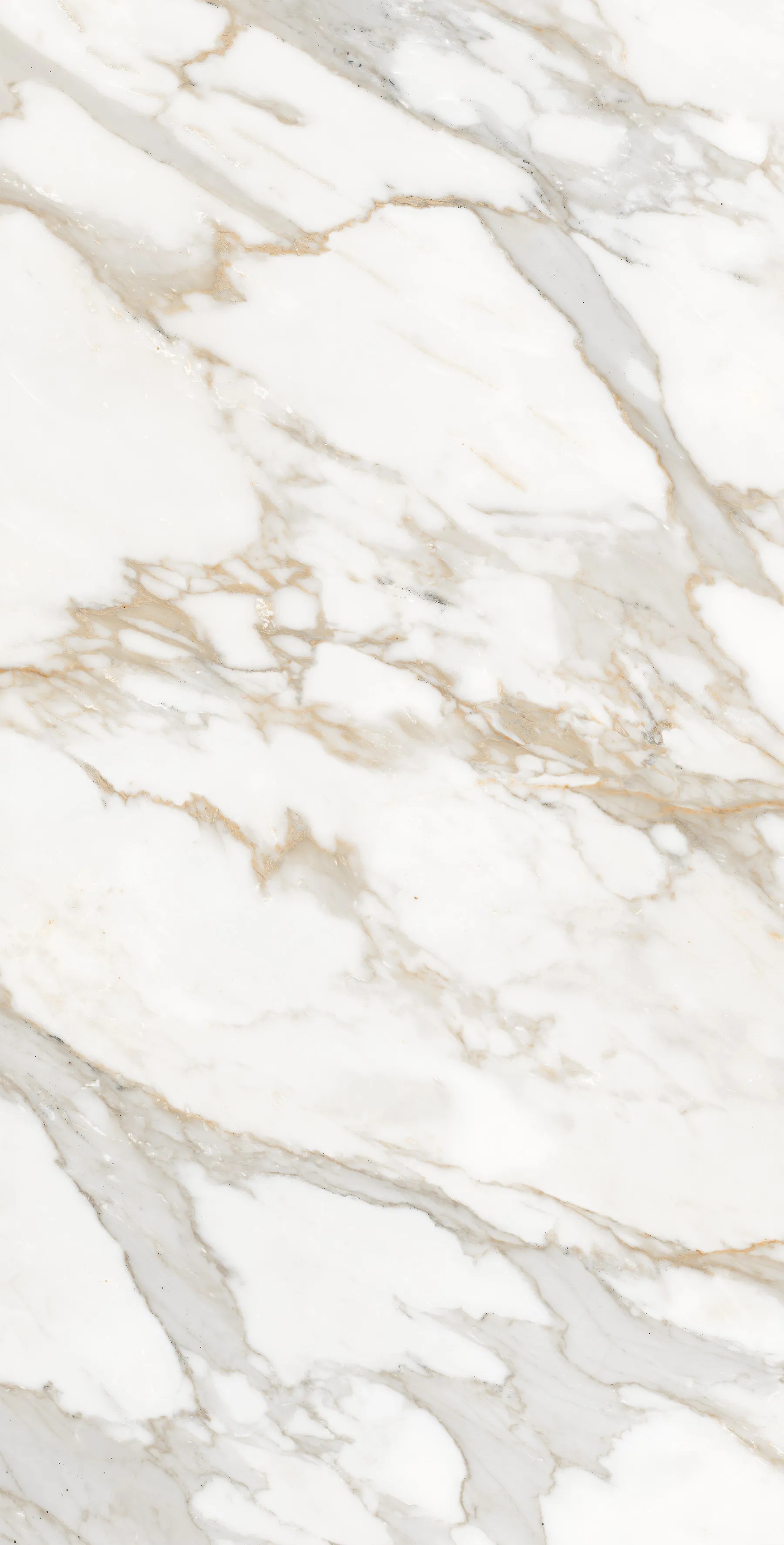 FP1006-A На пол Calacatta Oro 60x120 - фото 6