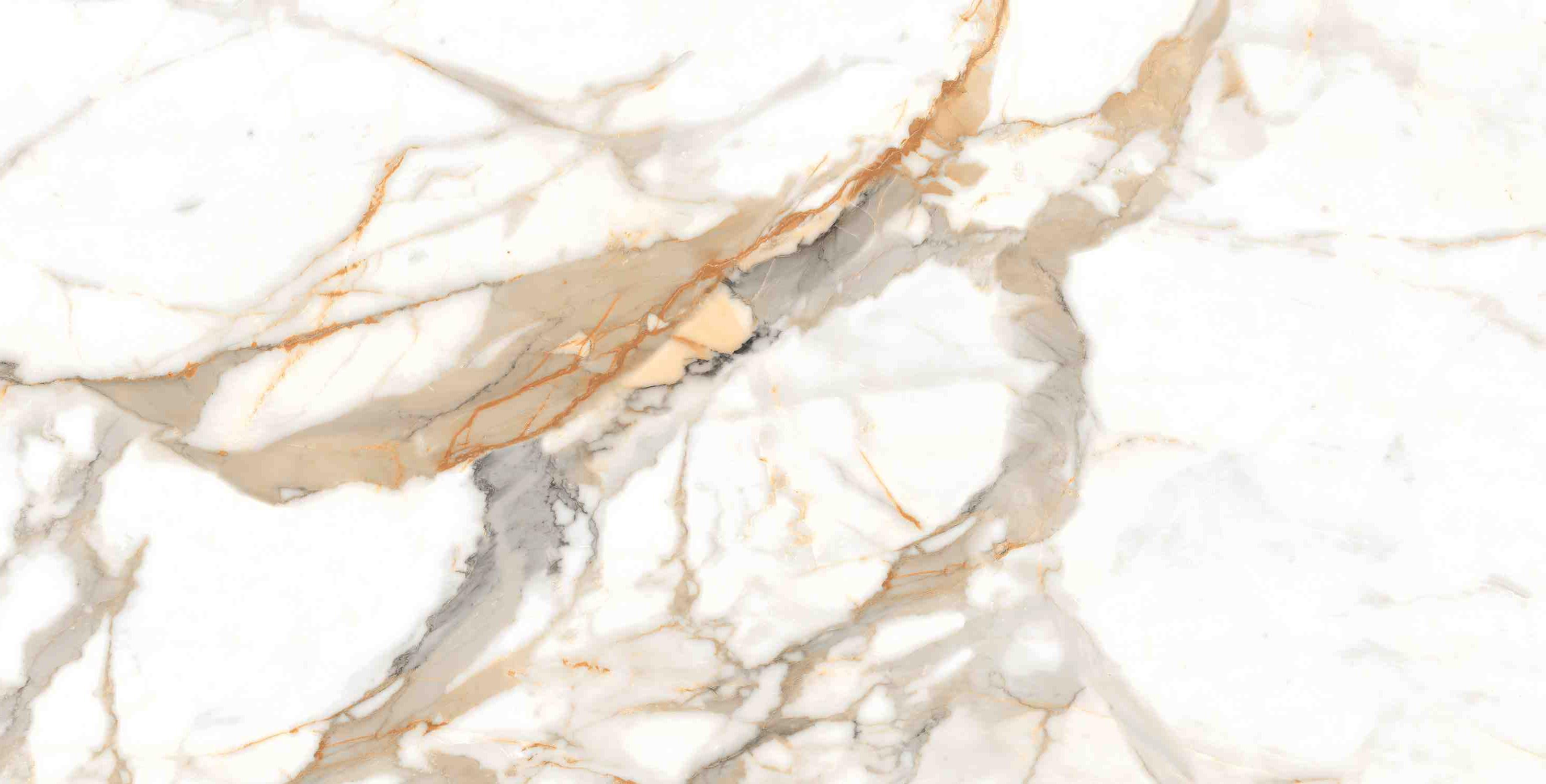 ENMAR7003MT60120 На пол Marble Calacatta Oro Matt 60x120 - фото 13