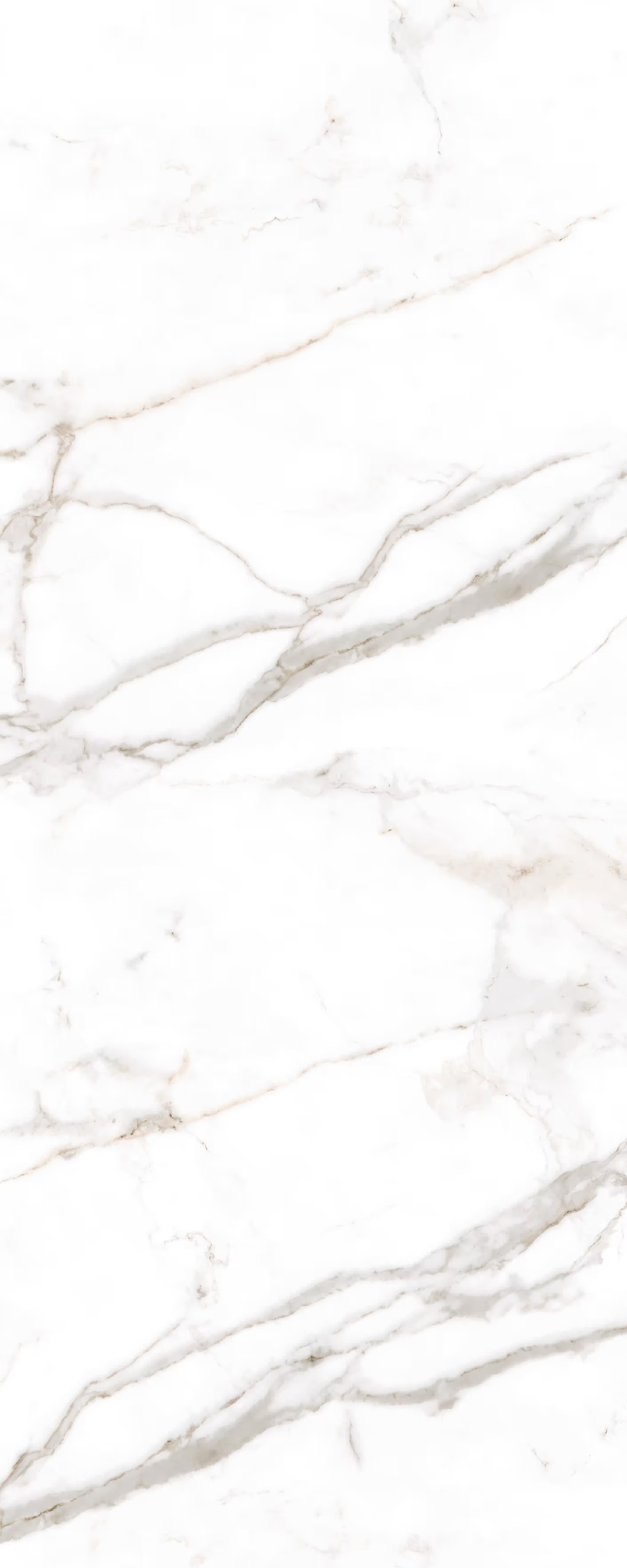 LAMFF01550_IT На пол I Naturali Marmi Calacatta Oro Venato Lucidato 5 1200x3000 - фото 2