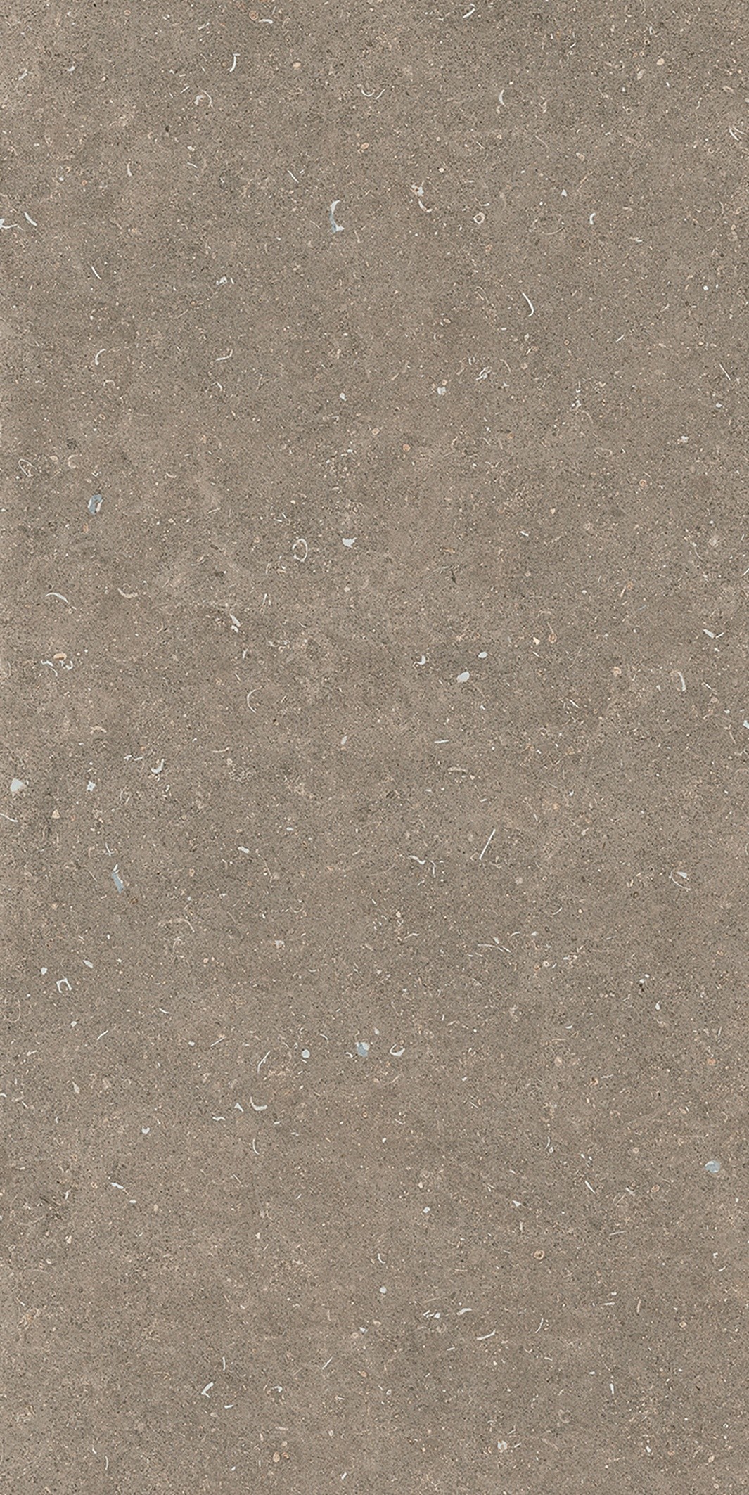 785576 На пол Rinascenza Arena Pietra Matte 6mm 60x120 - фото 2