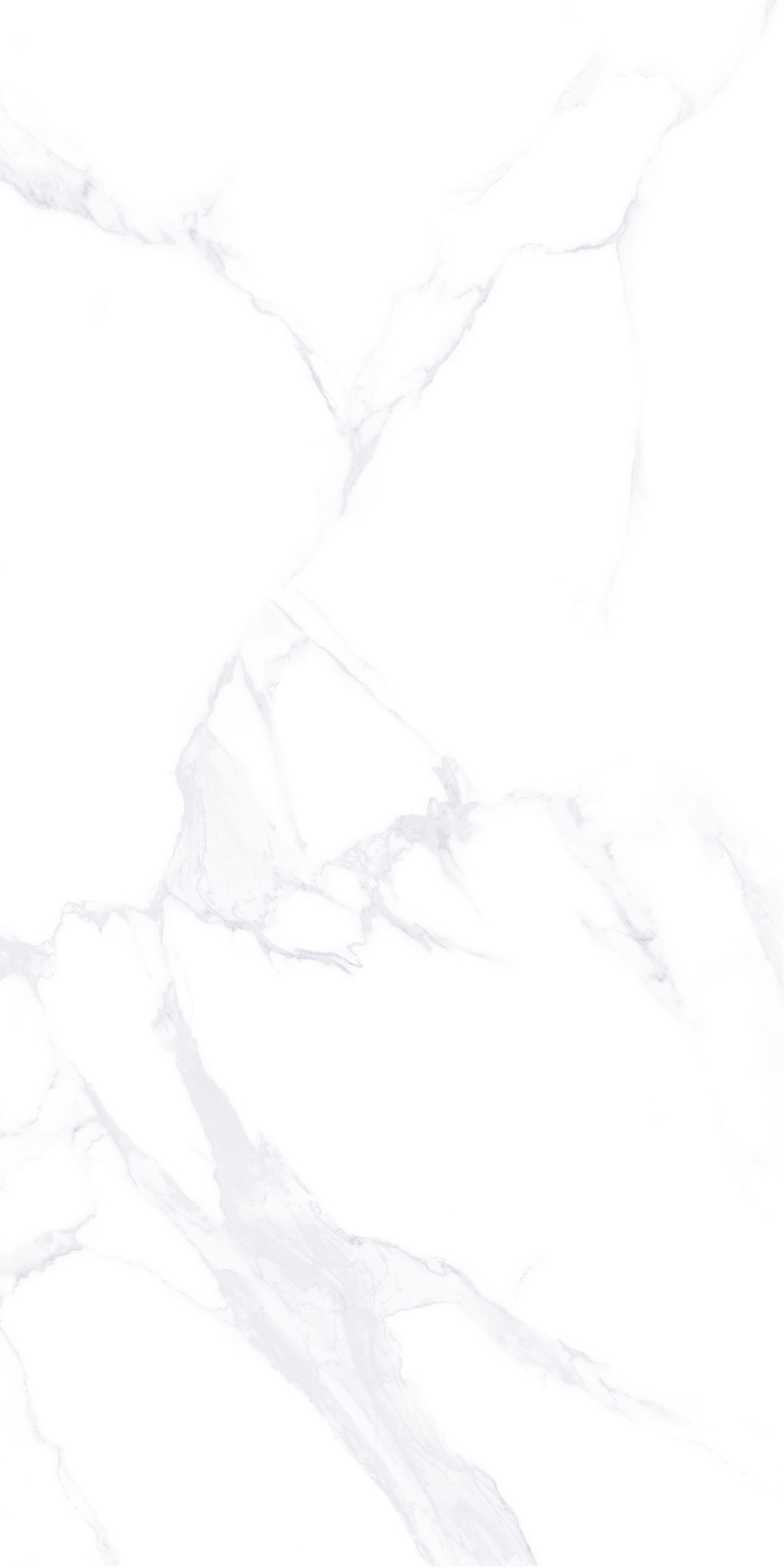 ZA-L12605 На пол Lande 605 PR 1200x600x9 - фото 2