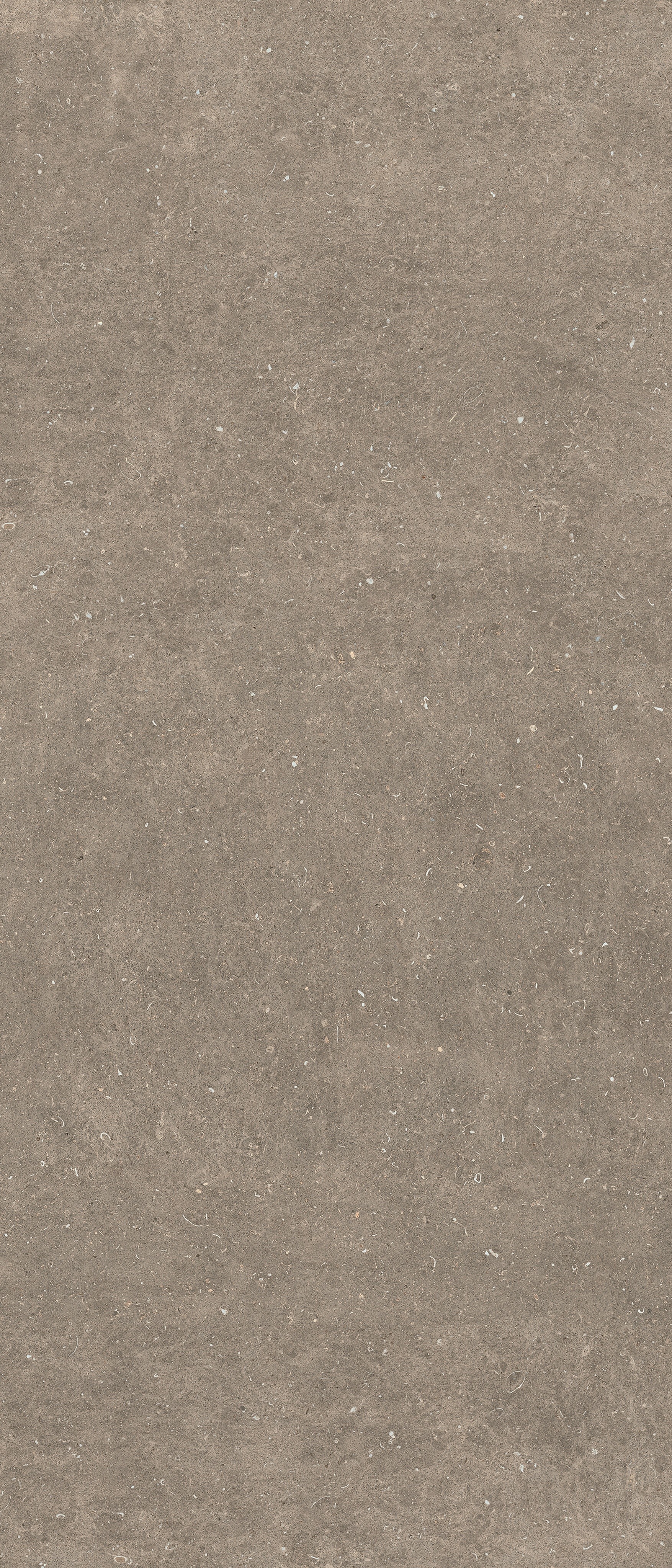 785572 На пол Rinascenza Arena Pietra Matte 6mm 120x280 - фото 3