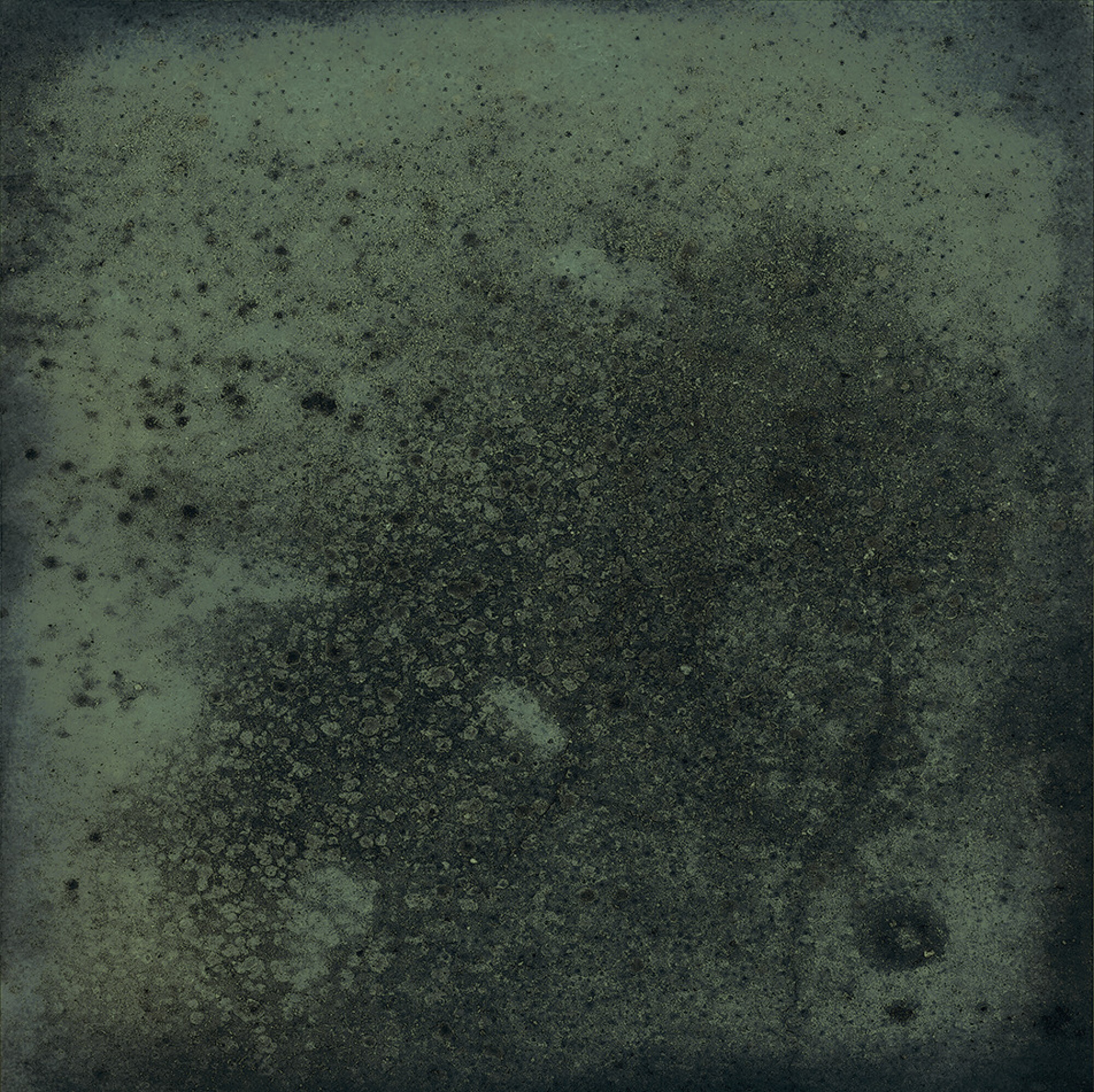 31041 На стену Legacy Green 15x15 - фото 40