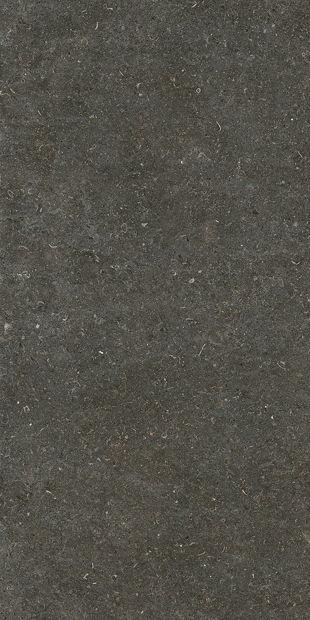 785577 На пол Rinascenza Arena Platino Matte 6mm 60x120 - фото 2