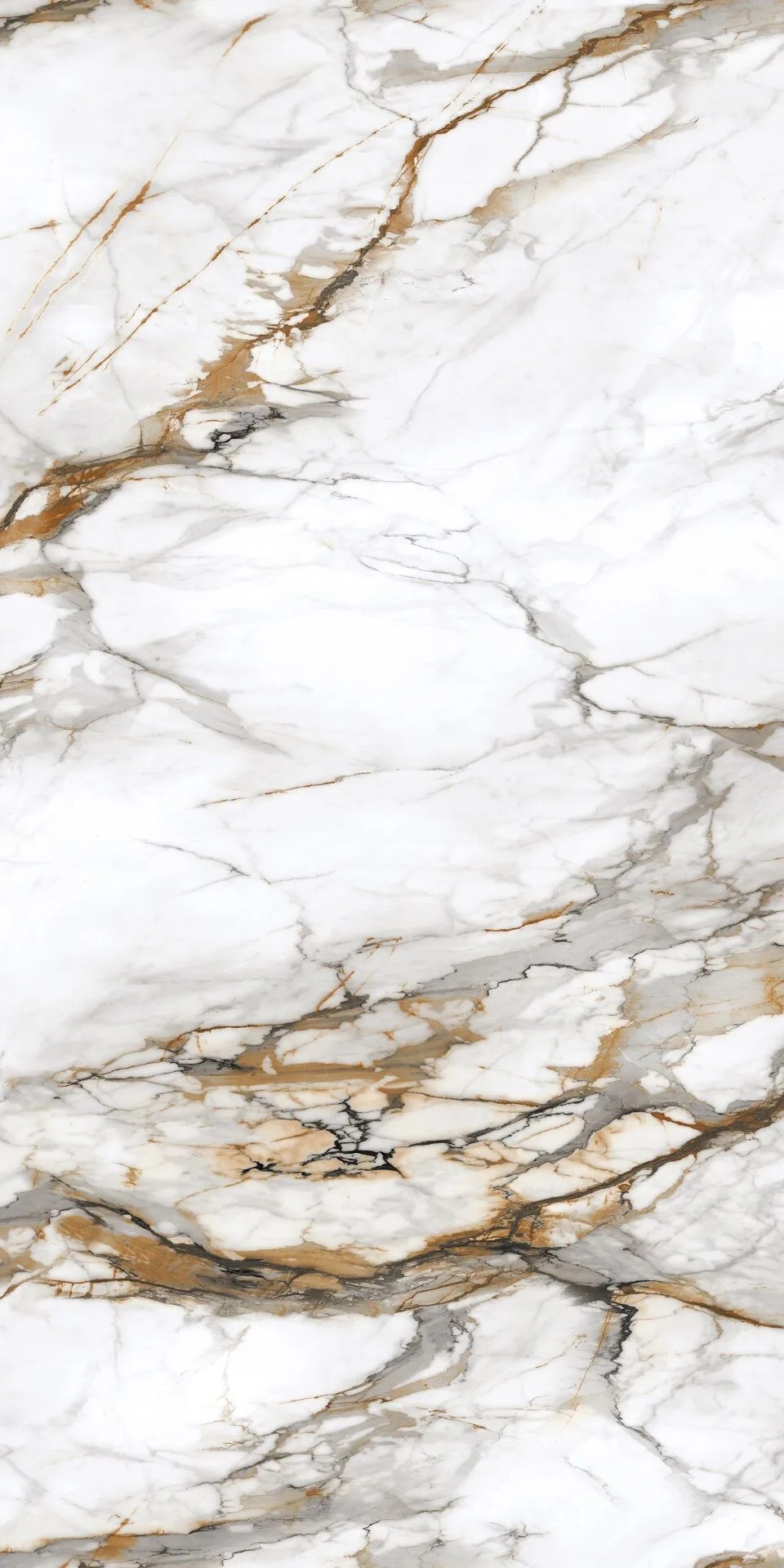 PT12P7081 На пол Royal Marble Полированная 1200х600х9 - фото 2