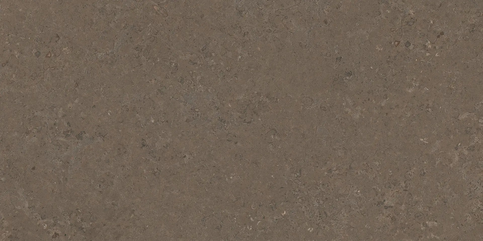 PF60020226 На пол V Stone Brown Lap Rett 8.5mm 60x120 - фото 5