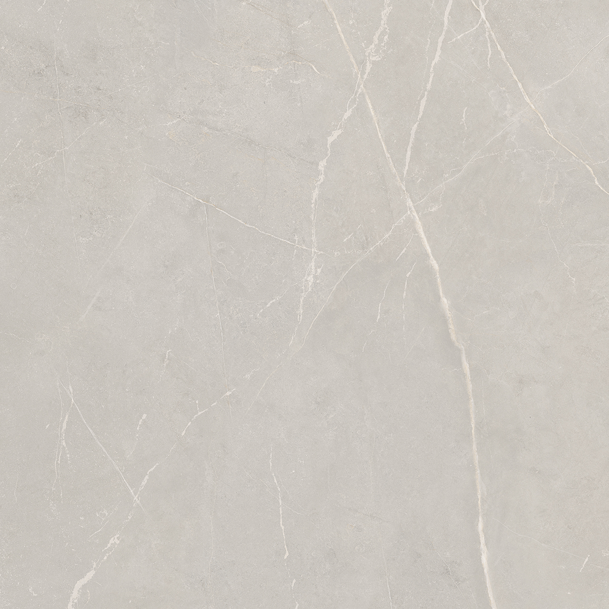 NL02/PS_NC/60x60x10R/GW На пол Nolana NL02 Light Grey Полированный Рект. 60x60x10 - фото 3