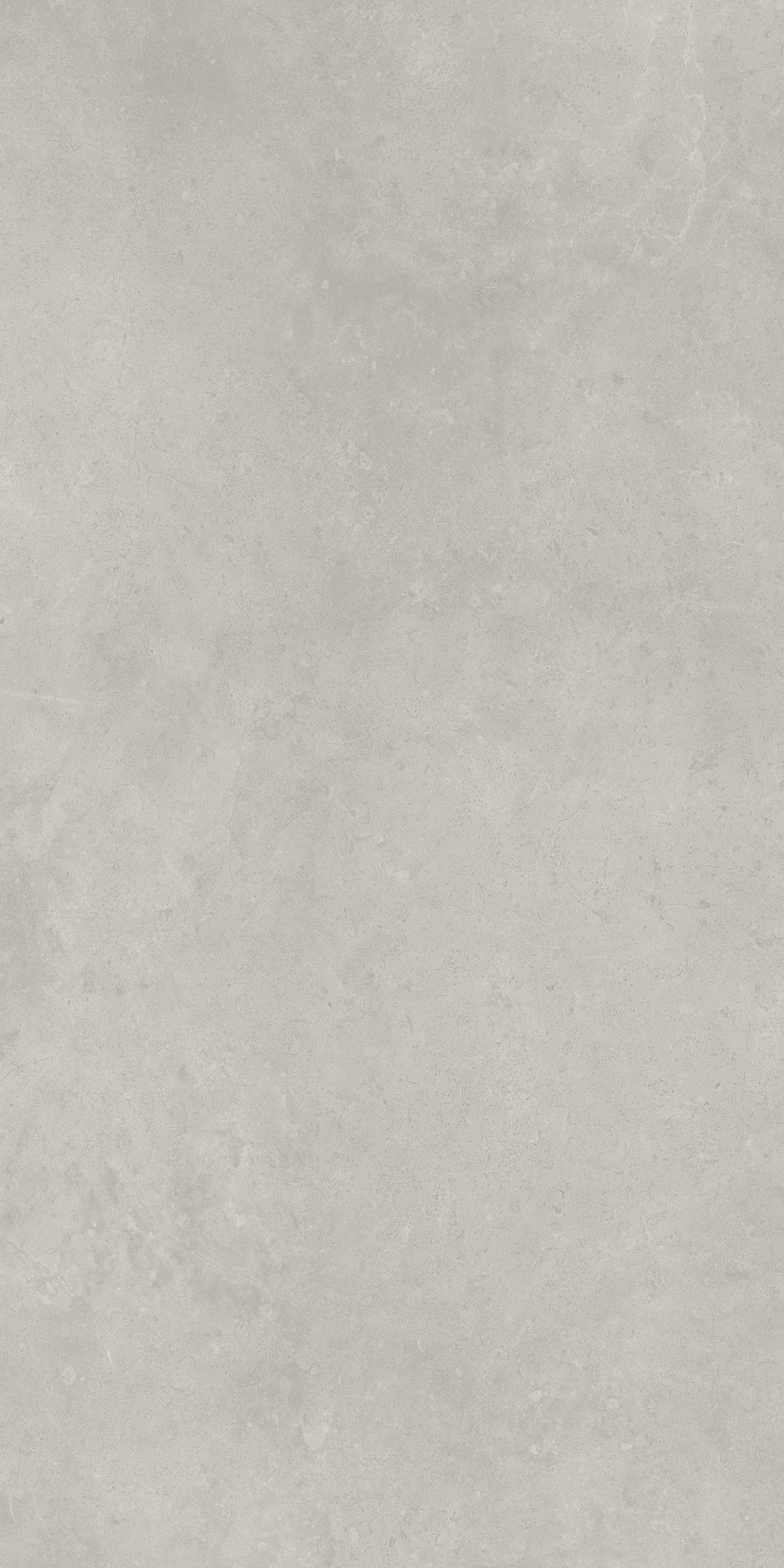 610010004099 На пол Fossil Grey Nat Ret 60x120 - фото 3