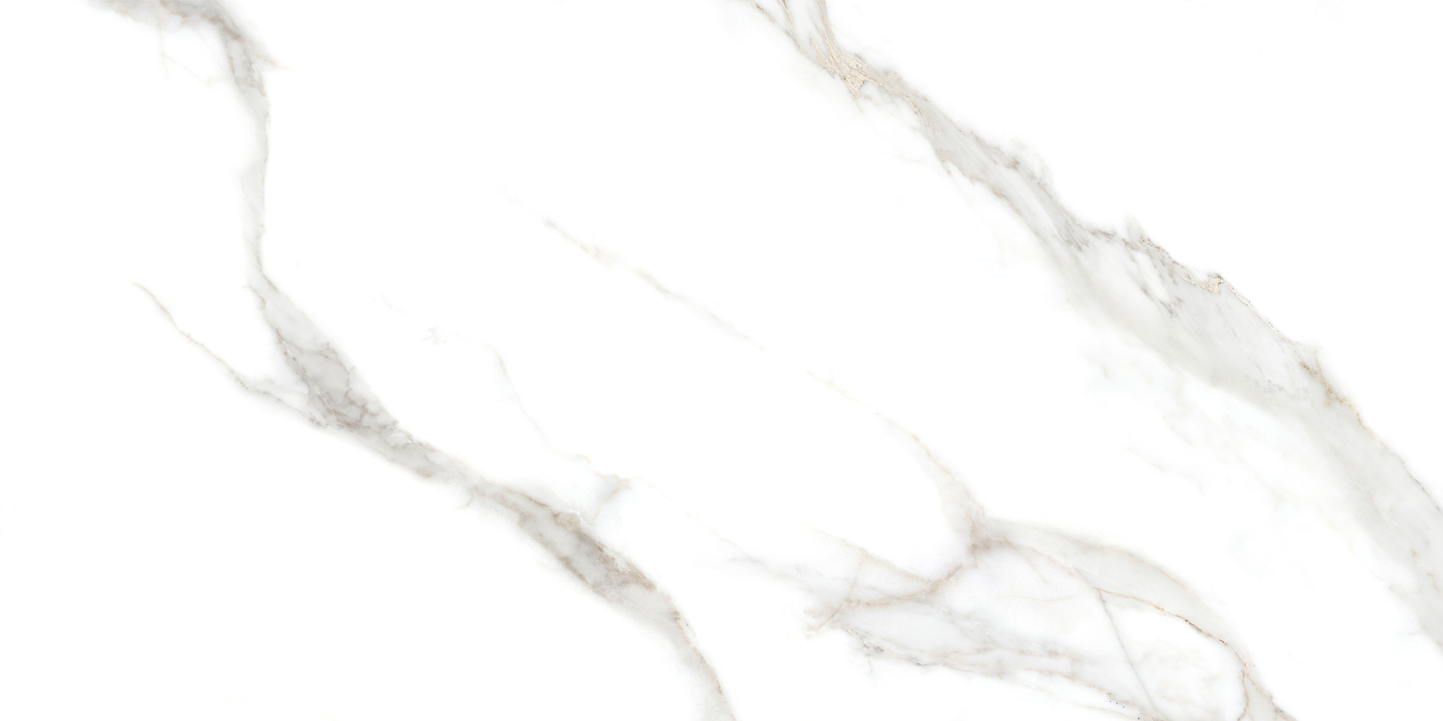 GT5010026803MR На пол Сопрано Белый 50x100 - фото 10