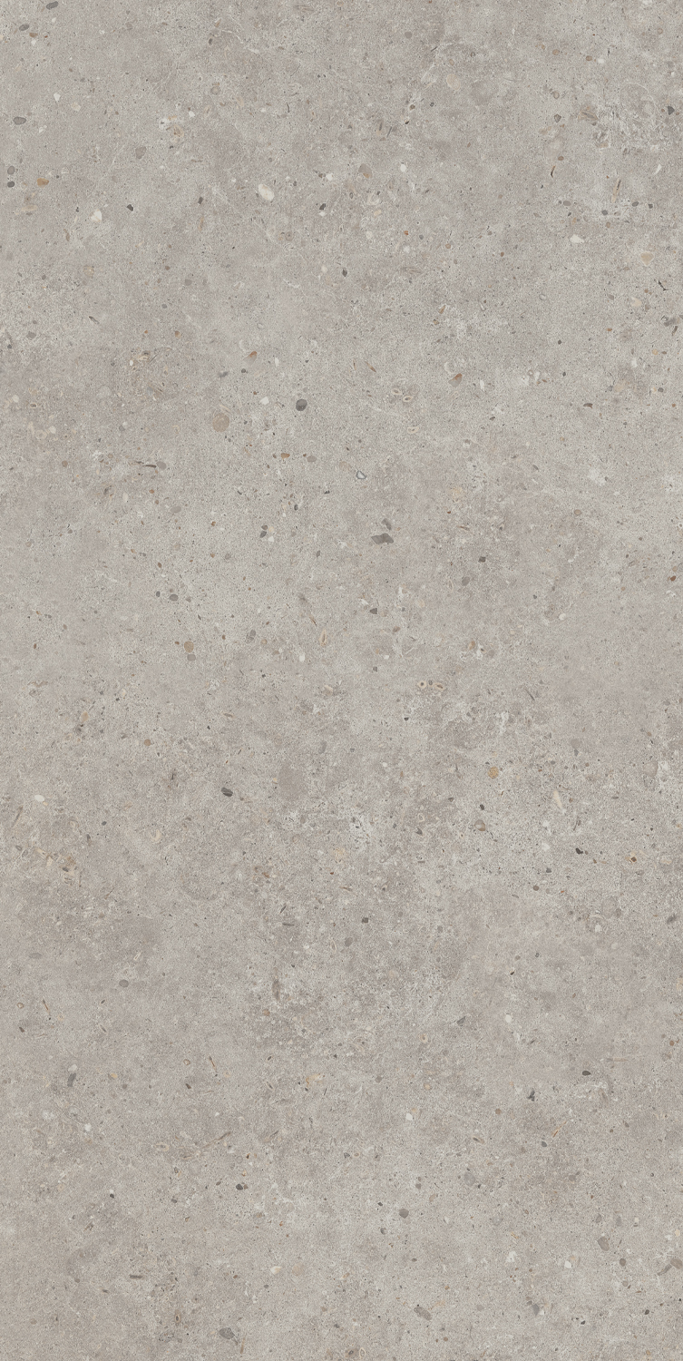SG519920R На пол Риккарди Серый Светлый Матовый Обрезной 60х119.5 - фото 5