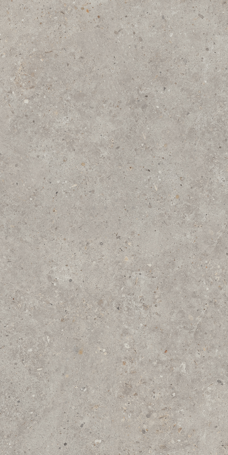 SG519920R На пол Риккарди Серый Светлый Матовый Обрезной 60х119.5 - фото 2