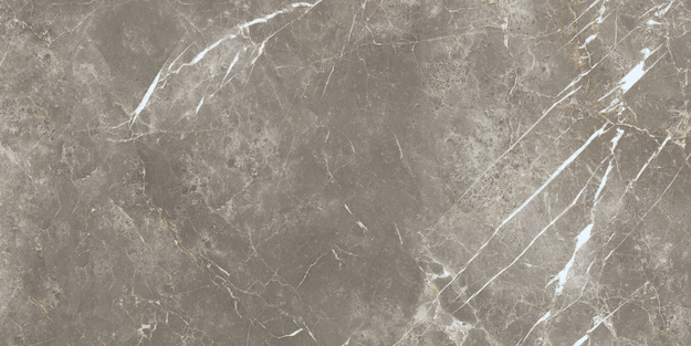 ECC2 На пол Elements Lux Persian Grey Silk RT 60x120 - фото 9