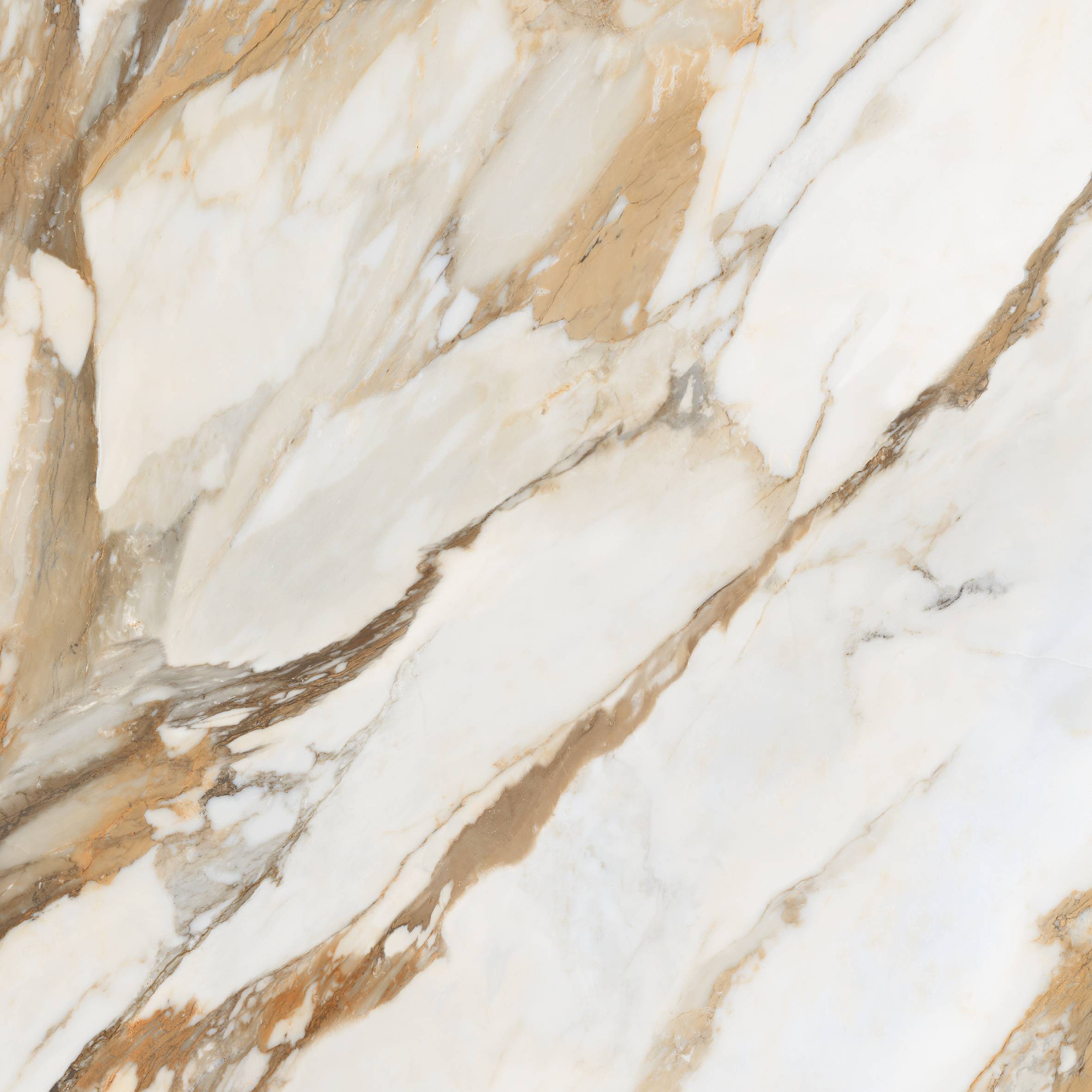 На пол Calcatta Gold Borghini 60x60