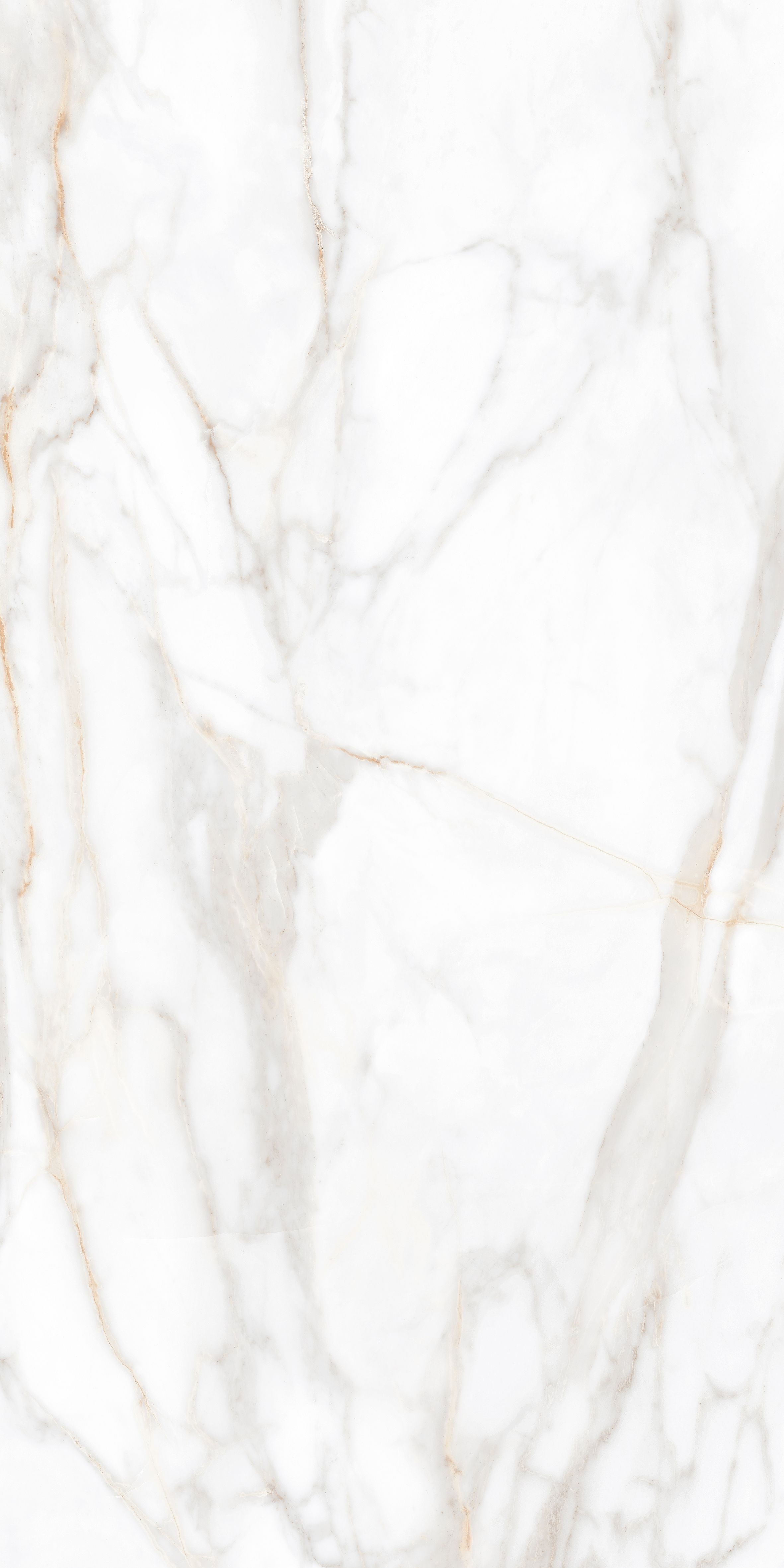 SM02/PS_R9/60x120x9R/GW На пол Supreme SM02 Gold Полированный 60x120x9 - фото 7