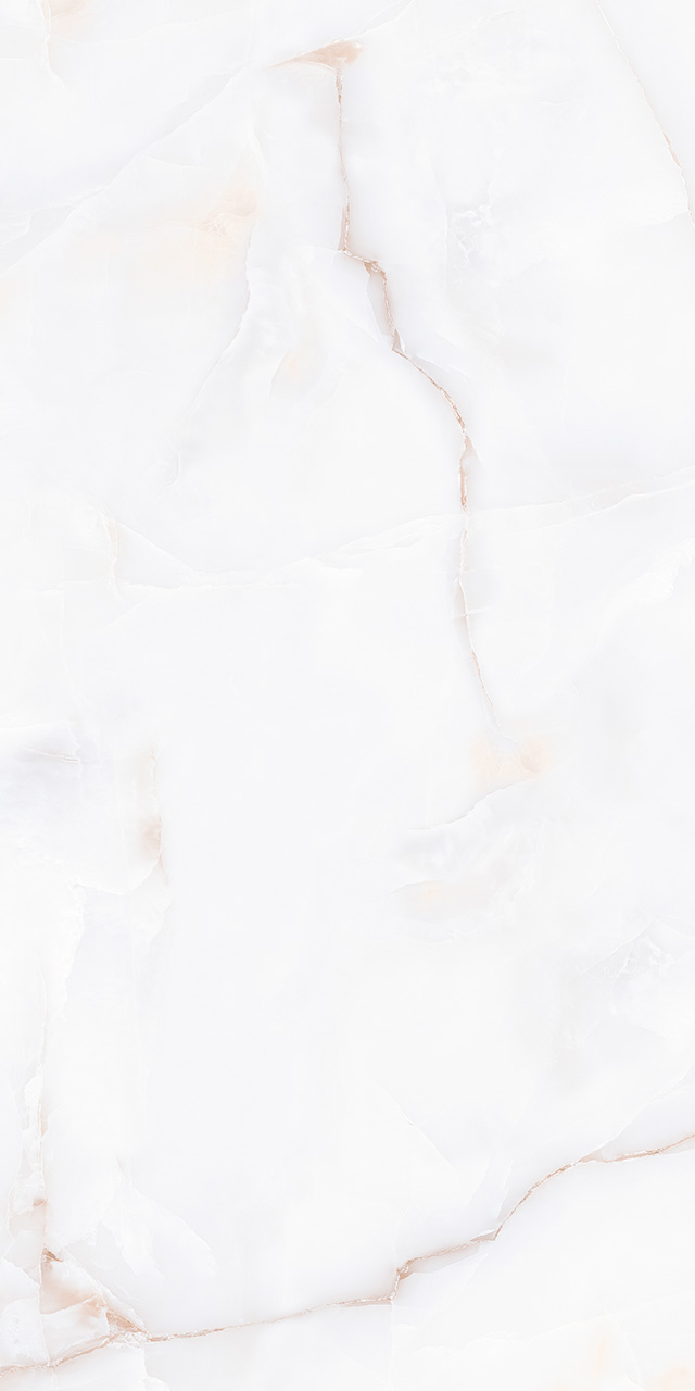 ZA-D12607 На пол Glazed 607 PR 1200x600x9