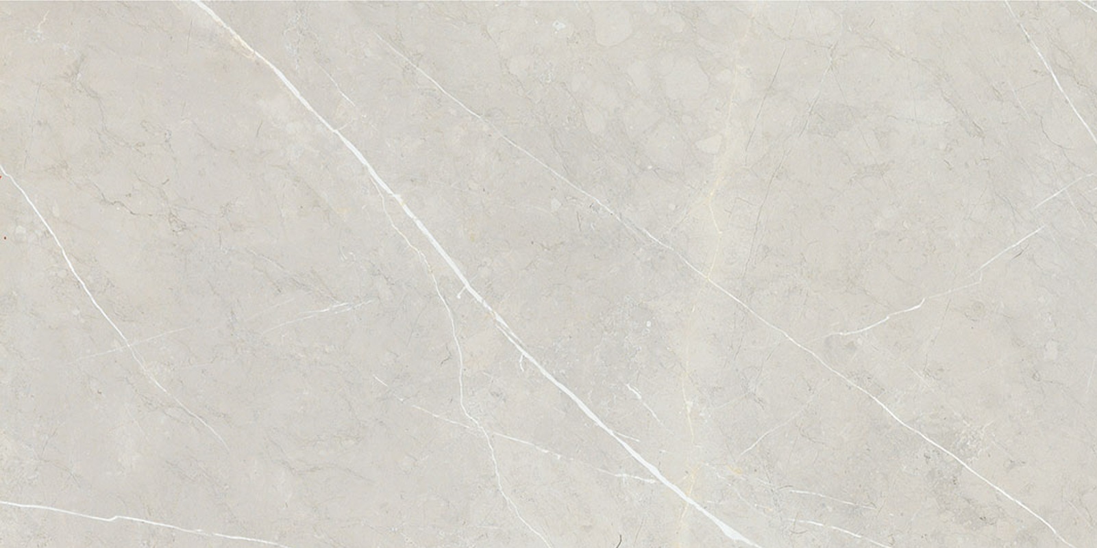 BB612NTT9101P На пол Bright And Shiny BB612NTT9101P - фото 4