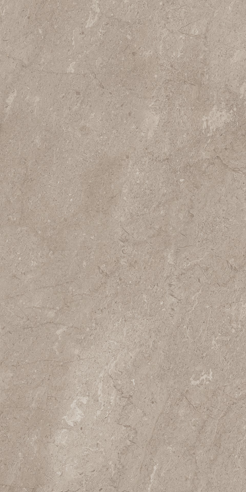 AEM02/NS_R9/60x120x9R/GW На пол Элемента Серый Неполированный Рект 60x120x9 - фото 7