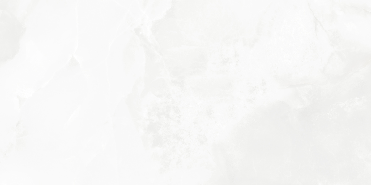 LP6012G0541R На пол Bernini Bianco белый глянцевые чернила 59.5х119.1 - фото 3