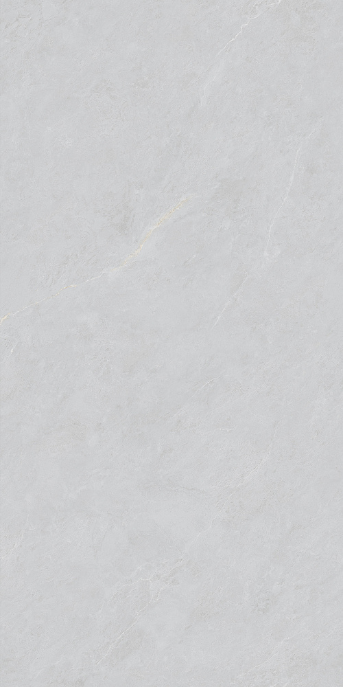 BHW-0023 На пол Cateye Light Grey Grains Soft-Polished Mould 600x1200x10 - фото 4