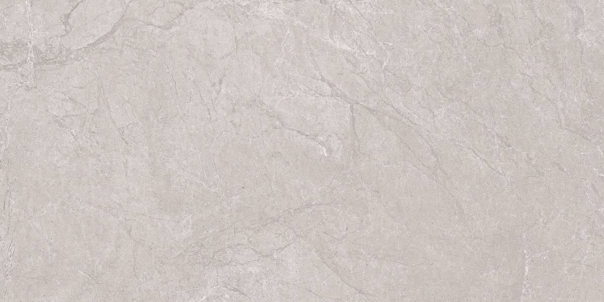 N20555 На пол Stone Aristo Grey Tm 60x120 - фото 4