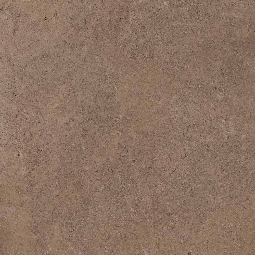 GO02/NS_R9/60x60x10R/GW На пол Gobi GO02 Dark Beige неполированный 60x60 - фото 2